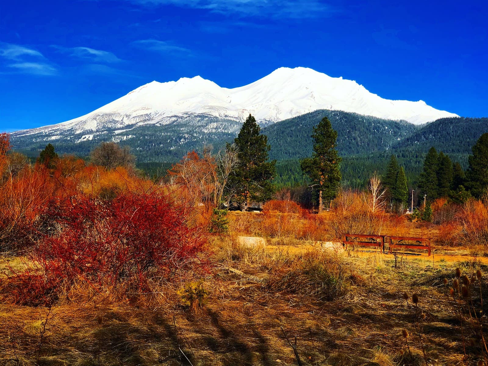 Sisson Meadow - Image 1