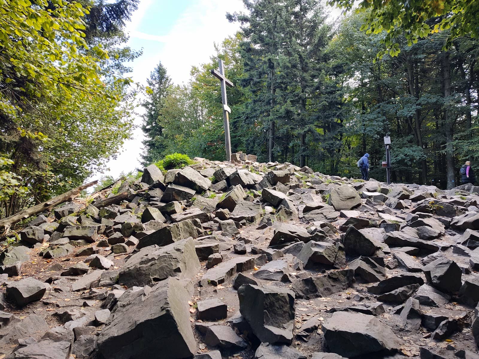 Panoramic Views