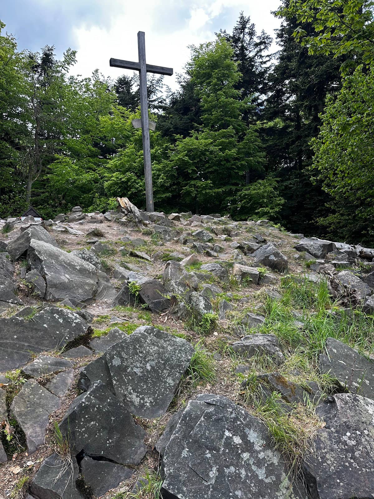 Vertical photo