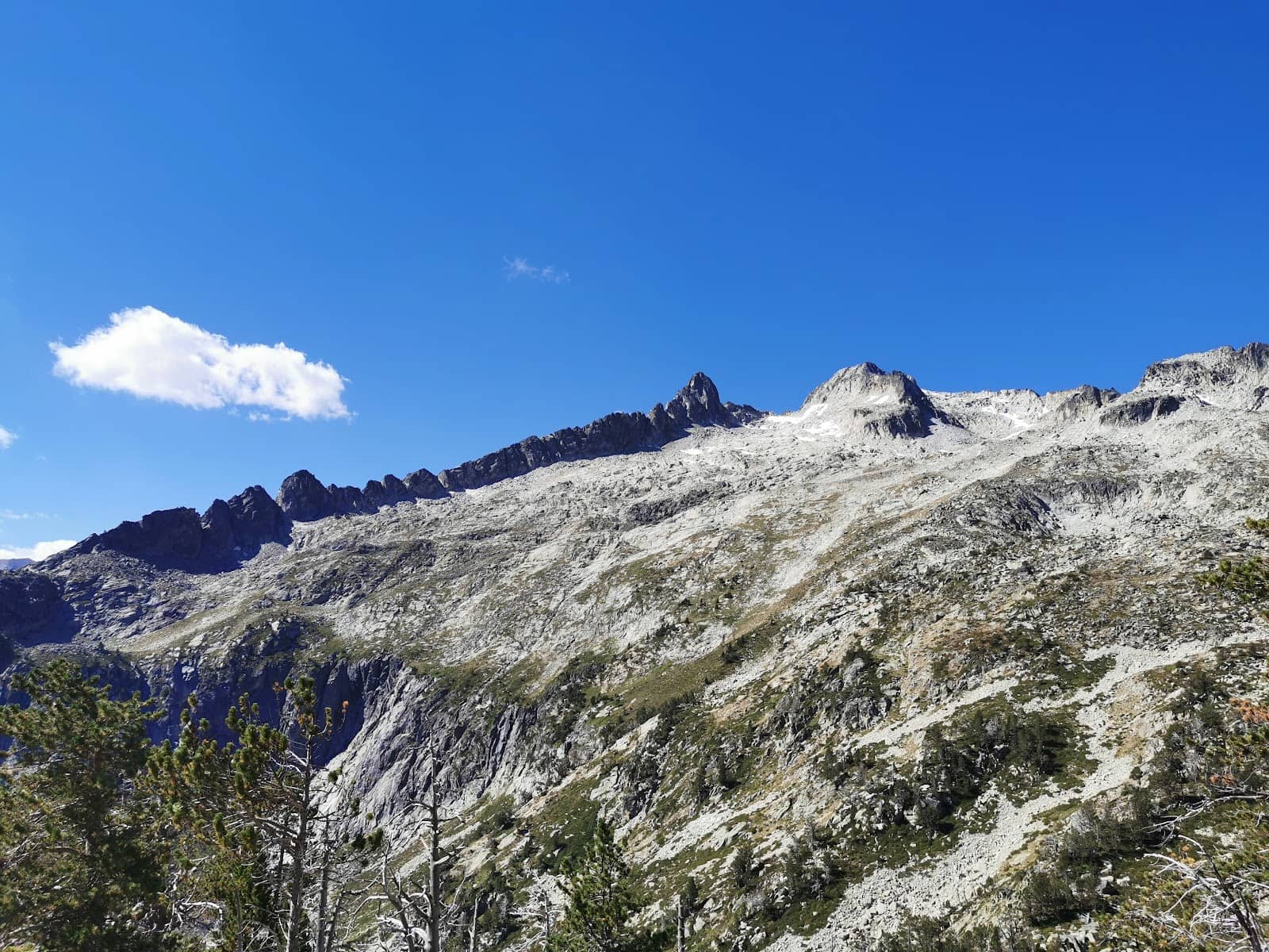 Vertical photo