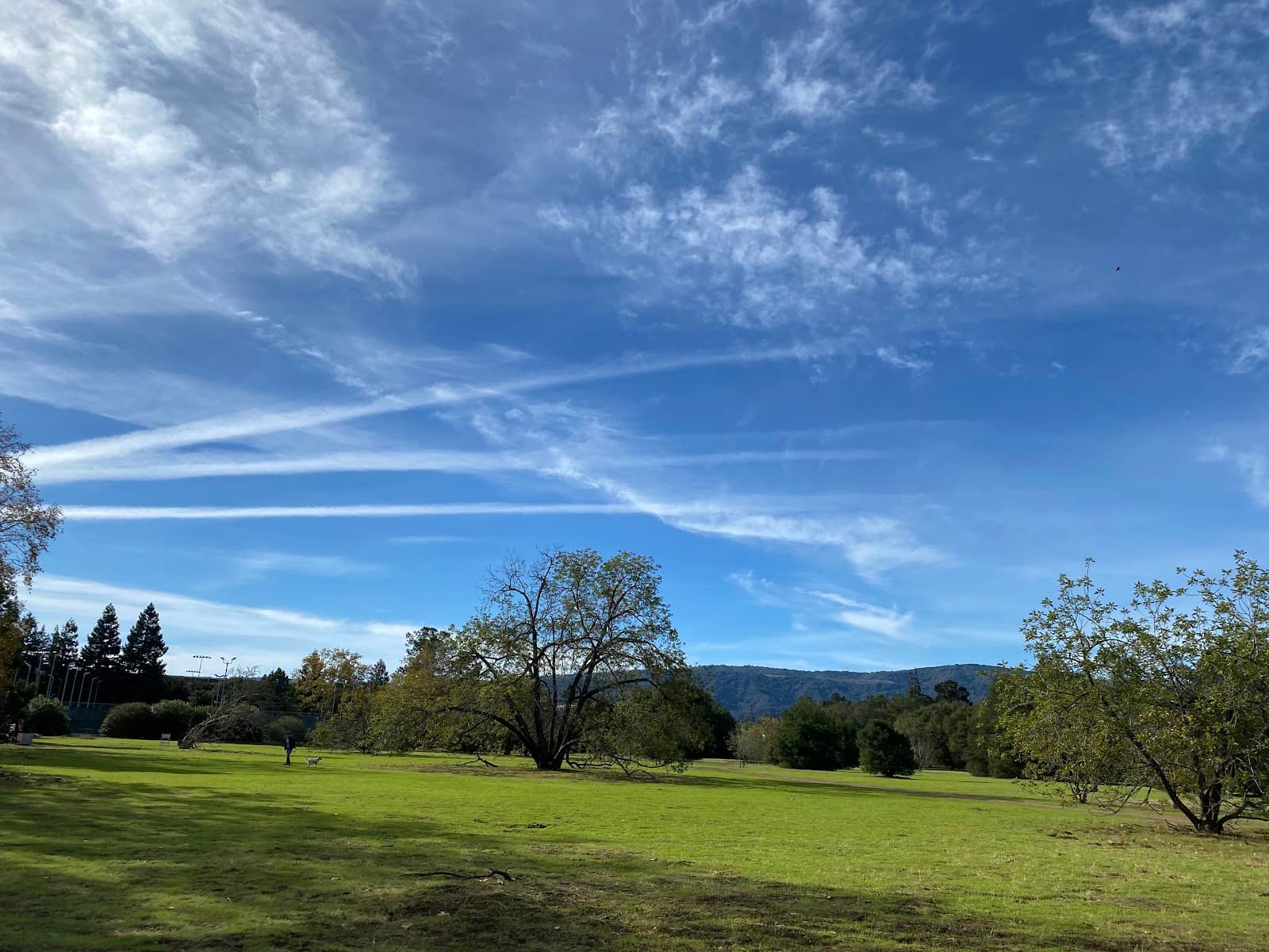 Picnic Paradise