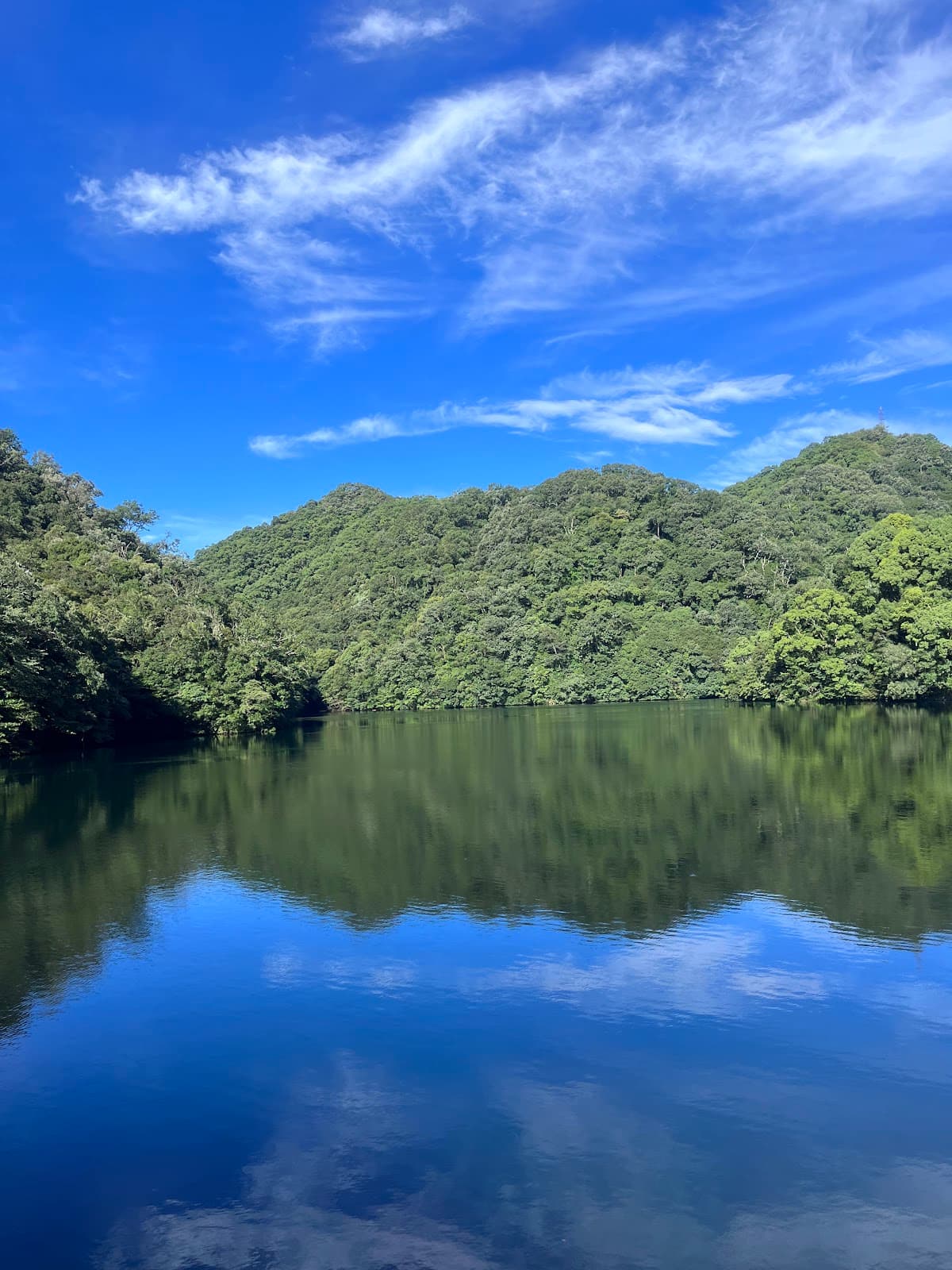 Nunobiki Gohonmatsu Dam - Image 1