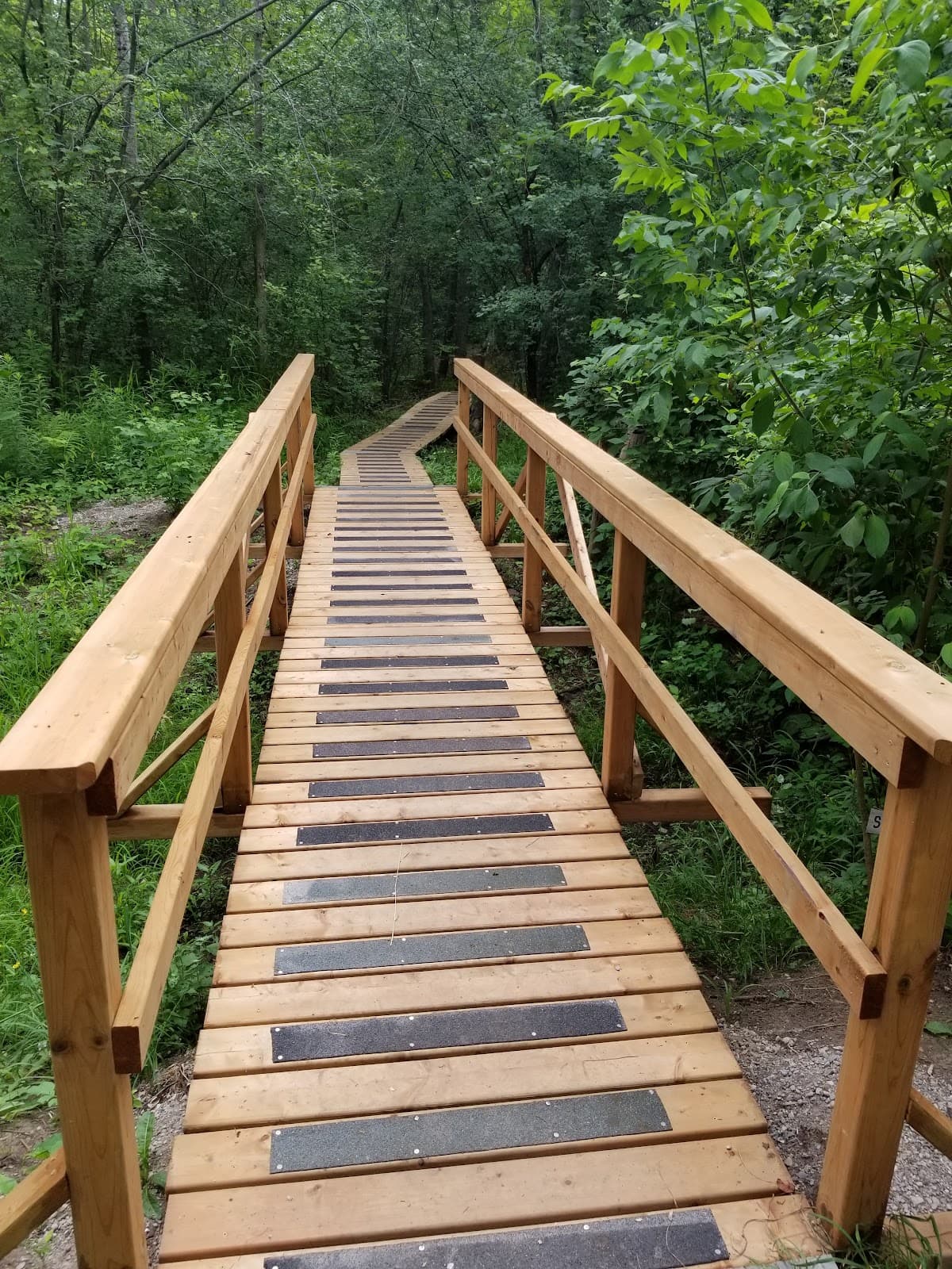 Maitland Trail - Image 1
