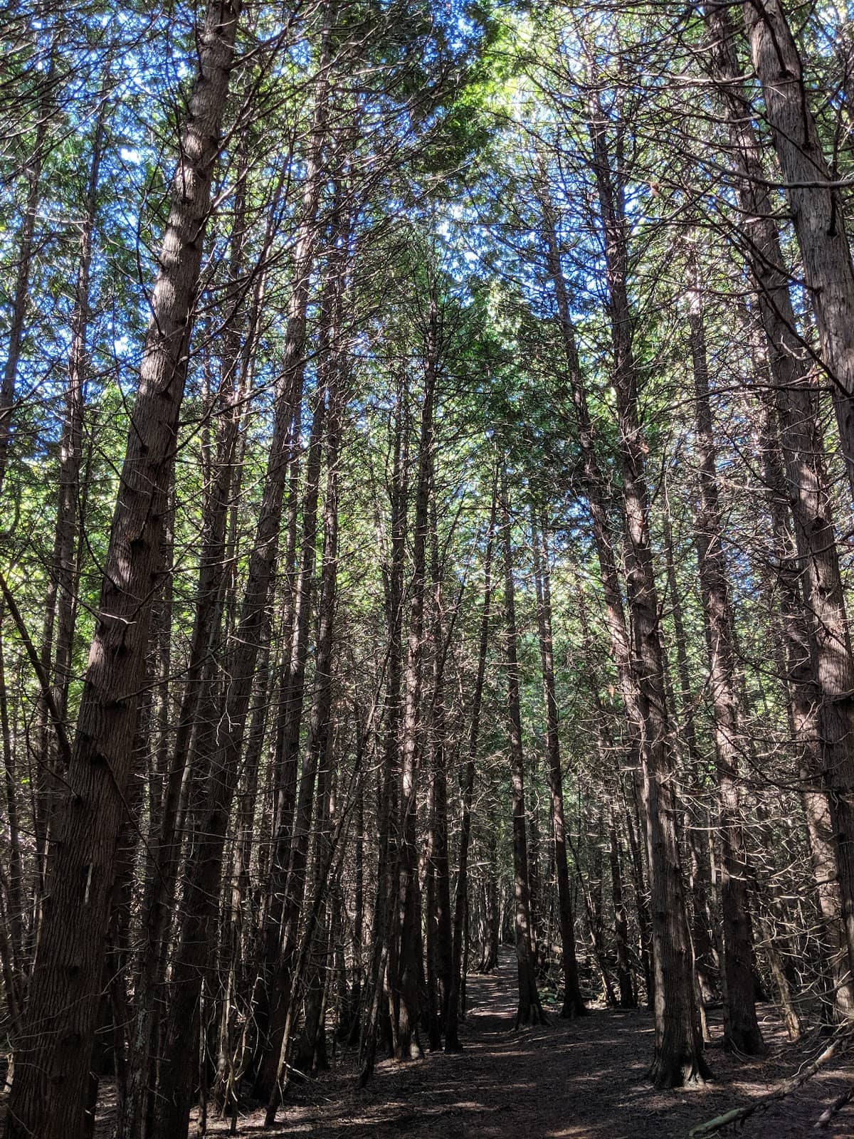 Vertical photo