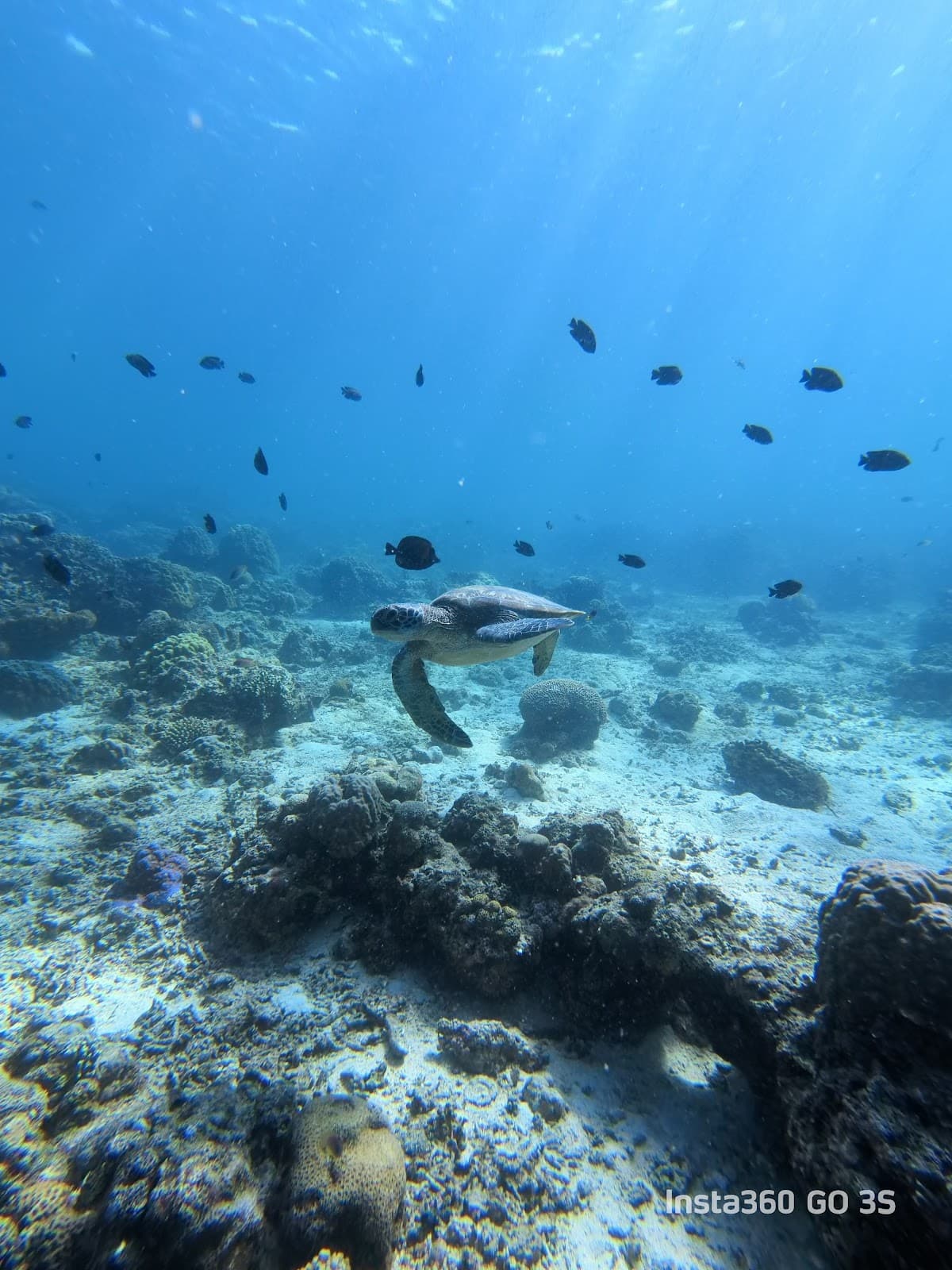 Kasai Wall - Image 1