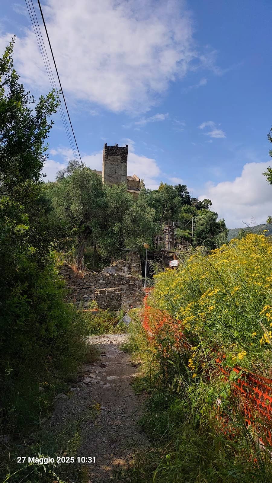 Vertical photo