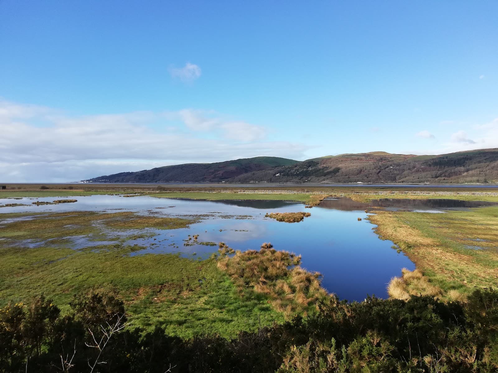 RSPB Ynys-hir - Image 1