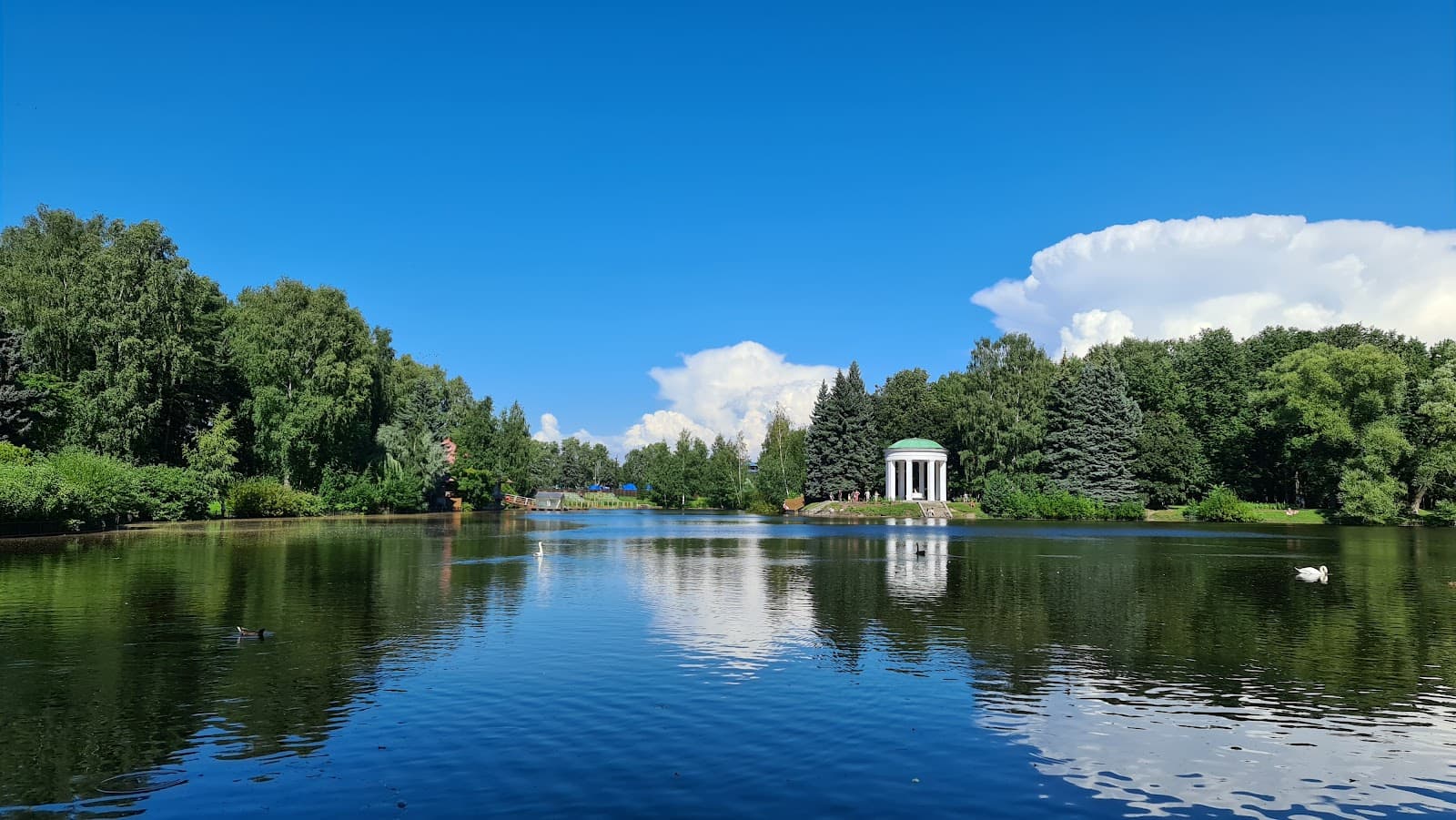 Krestovsky Island - Image 1