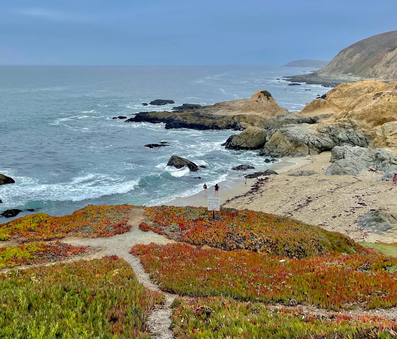 Local History and Preservation