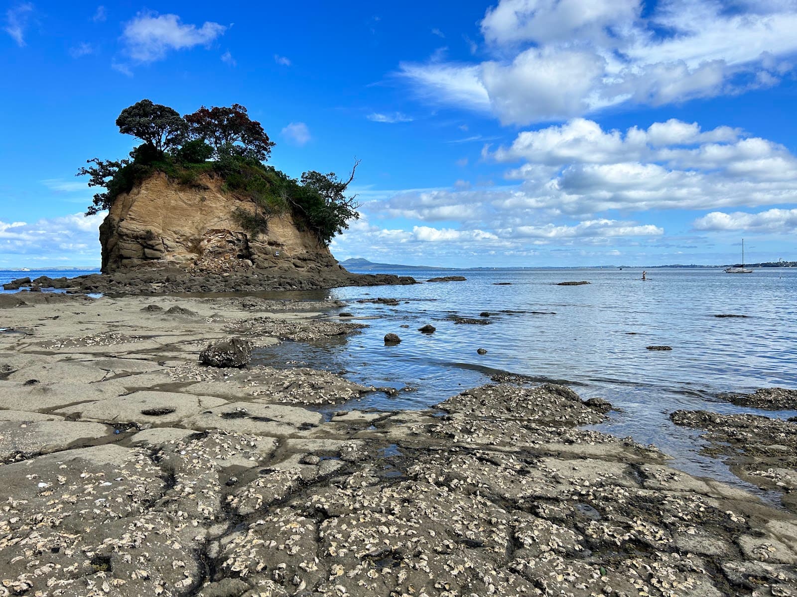 Waiake Beach - Image 1