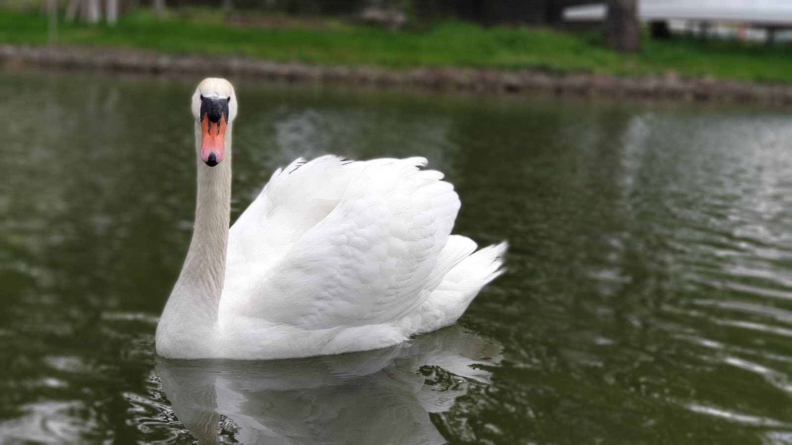 Modern Lakeside Apartments