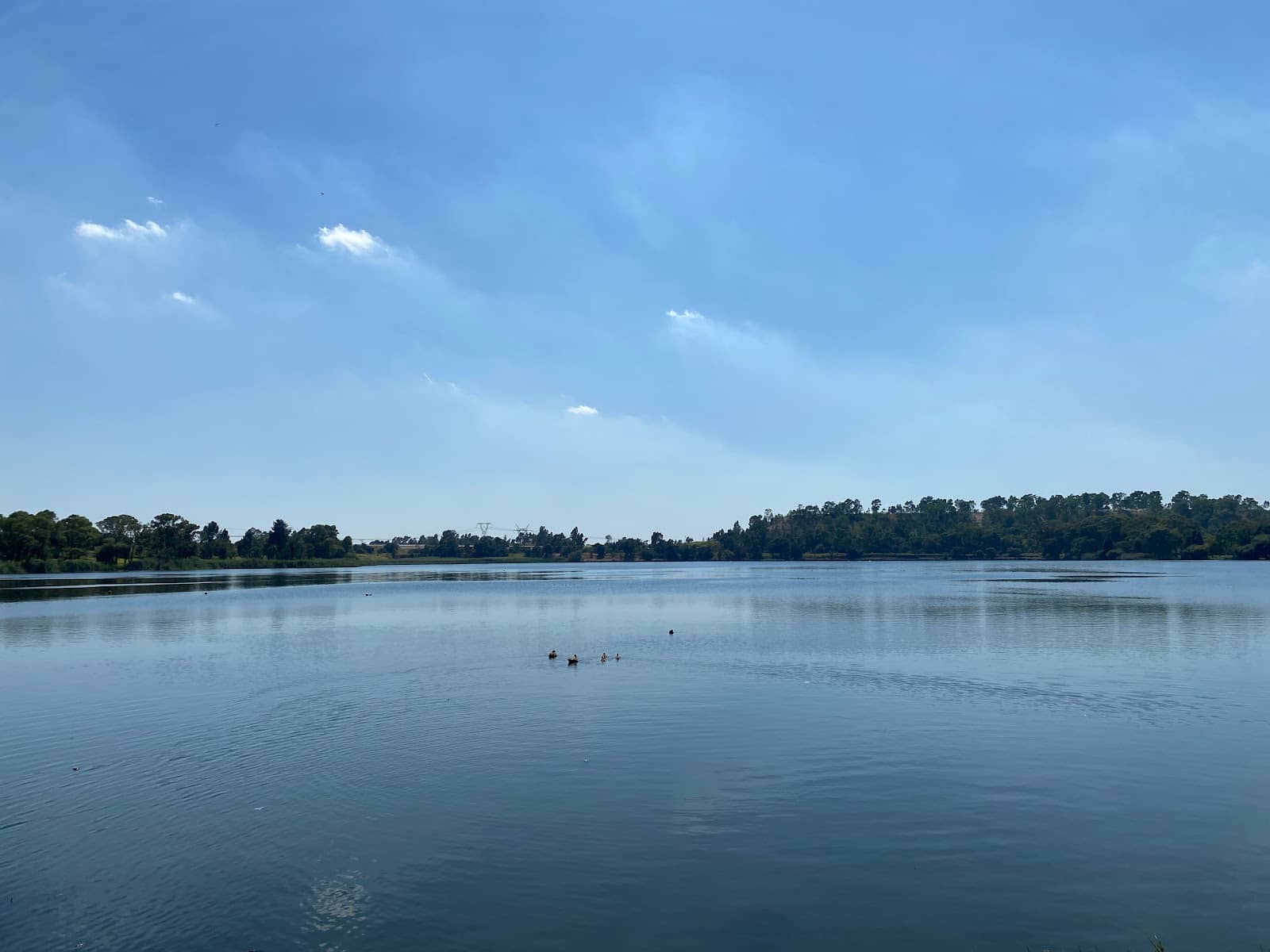 Affordable Fashion Finds