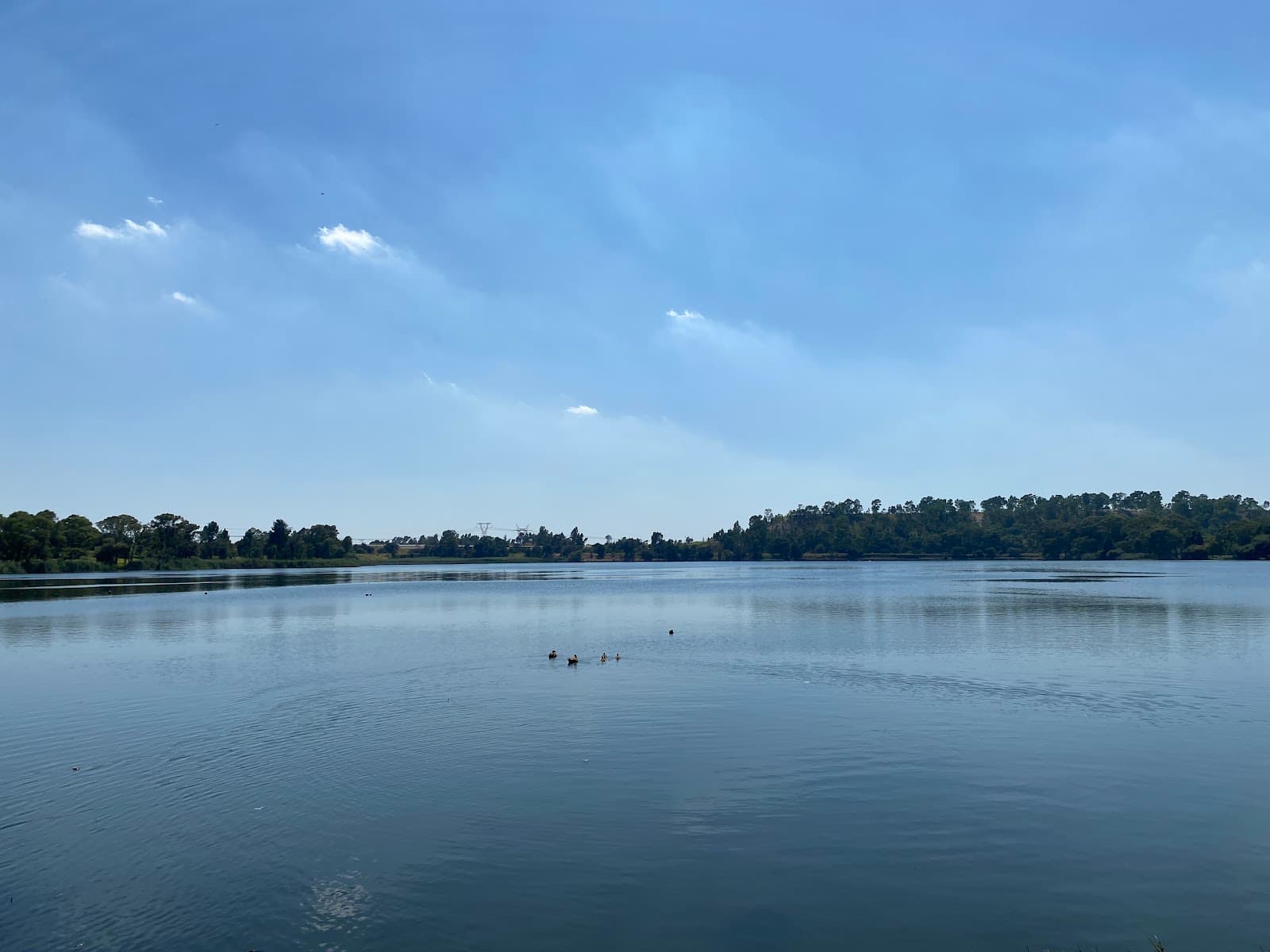 Wemmer Pan Johannesburg - Image 1