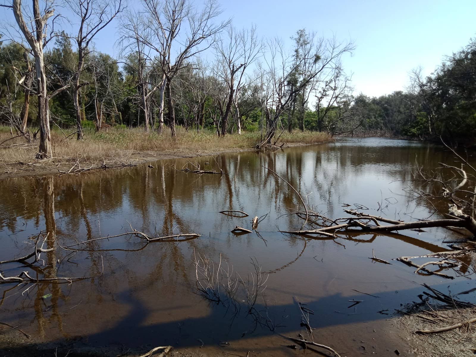 Peaceful Escape