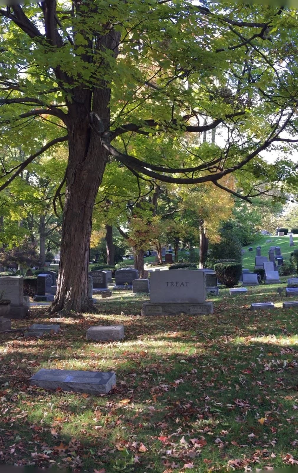Oakwood Cemetery - Image 1