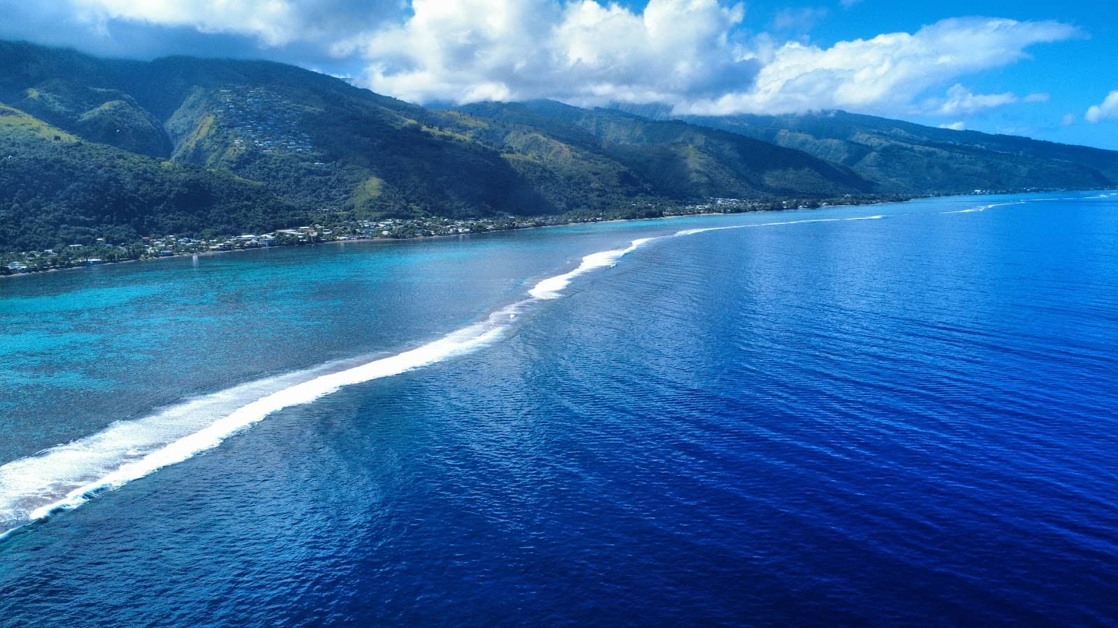 Affordable Paddleboard Rentals