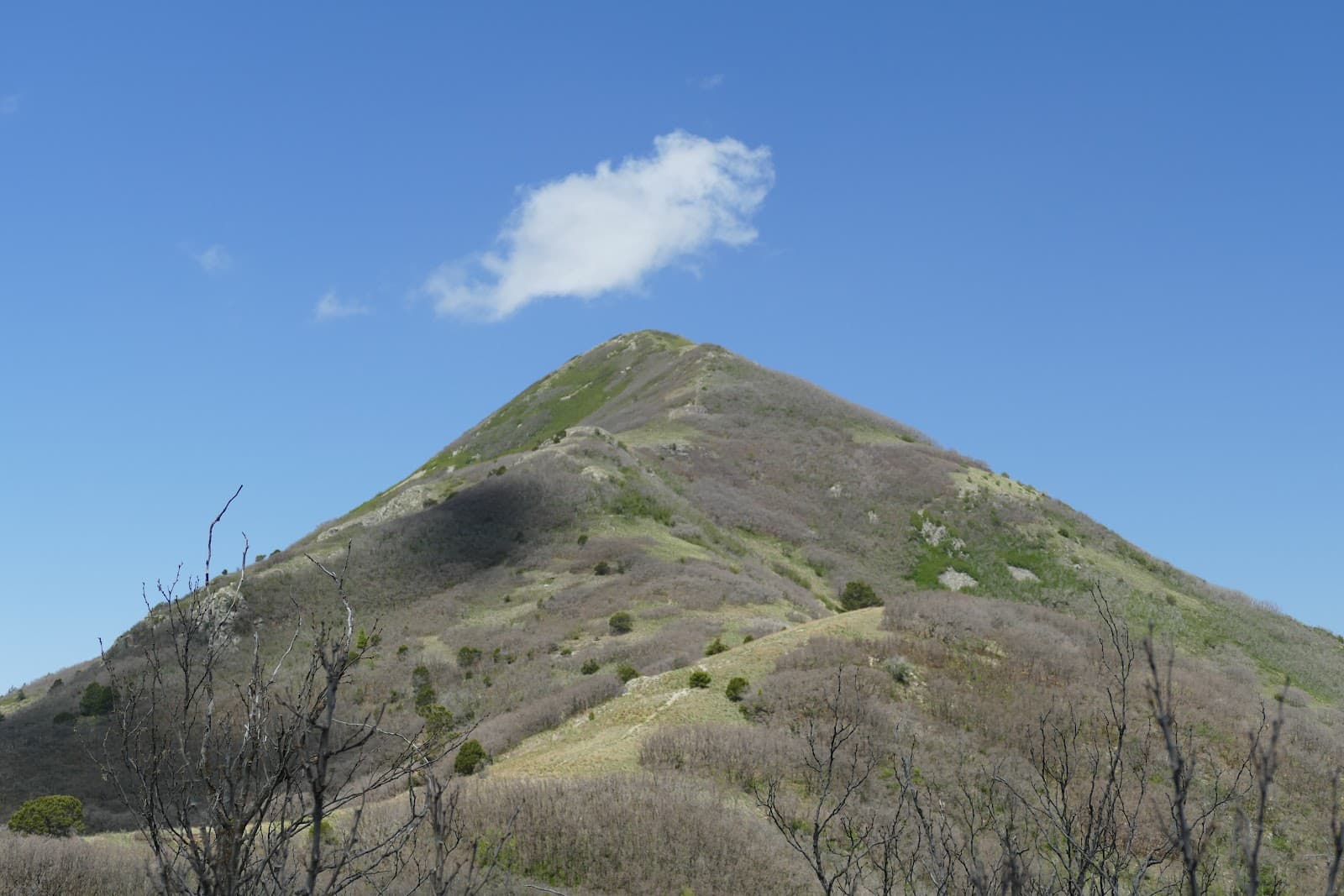 Nogal Peak Trail - Image 1