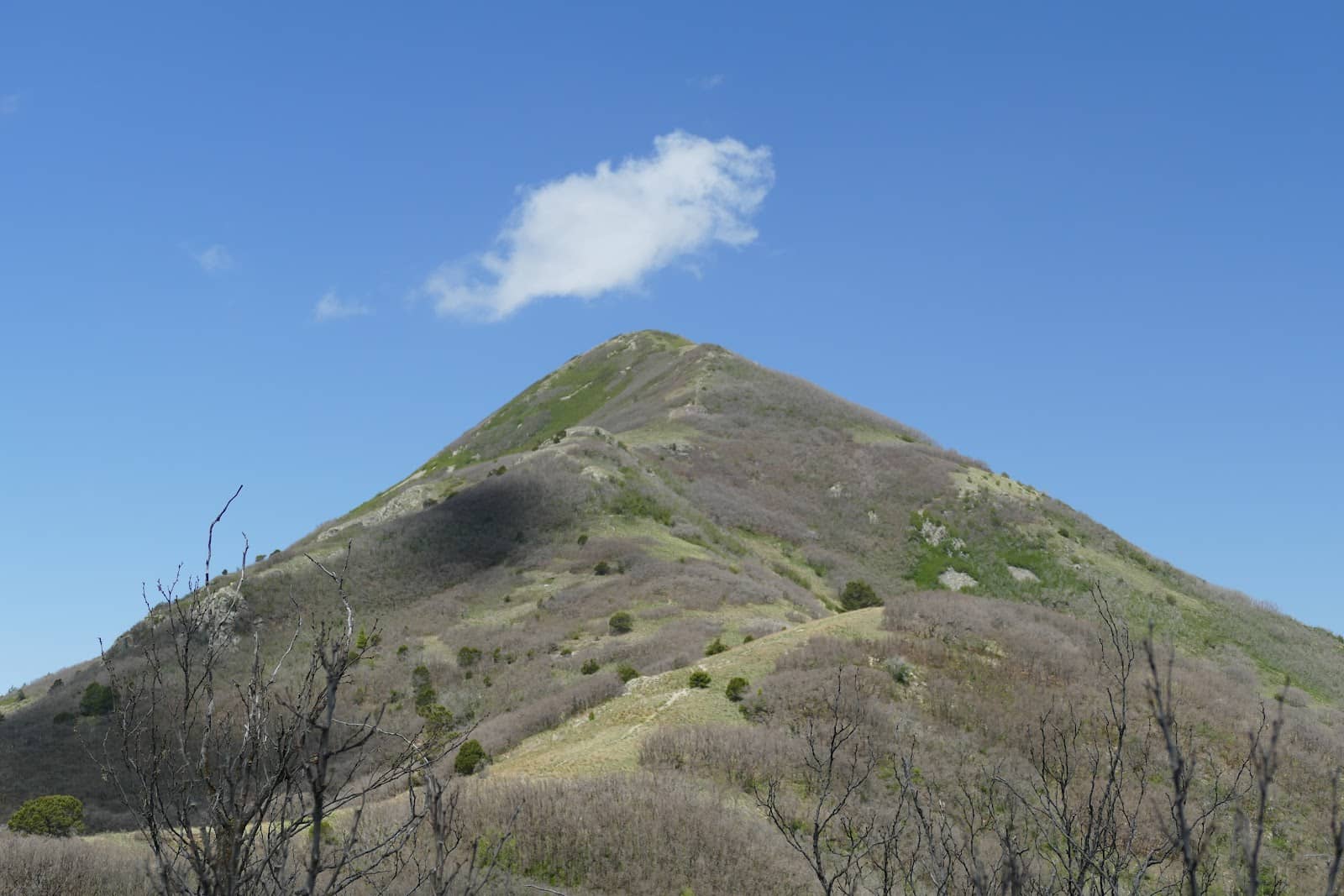 Lincoln County Vistas