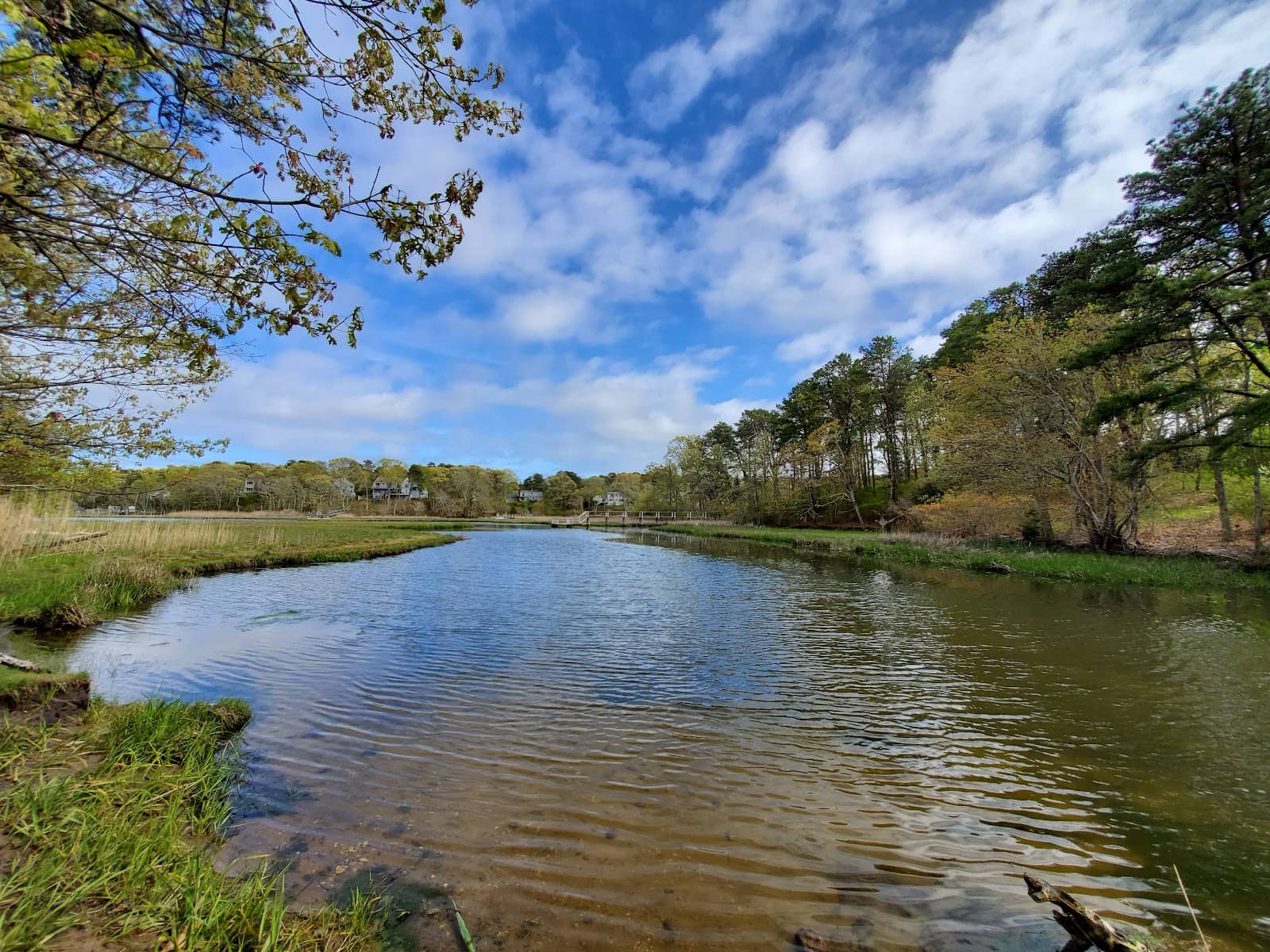 Family-Friendly Outing