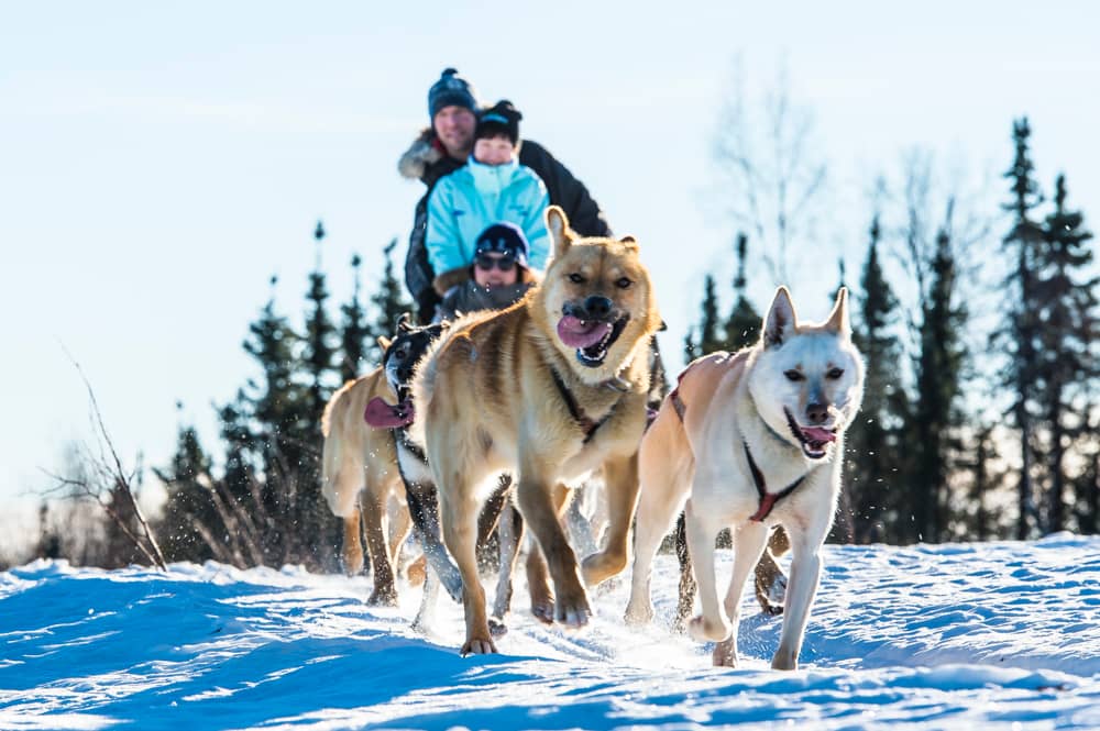 Northern Lights Viewing