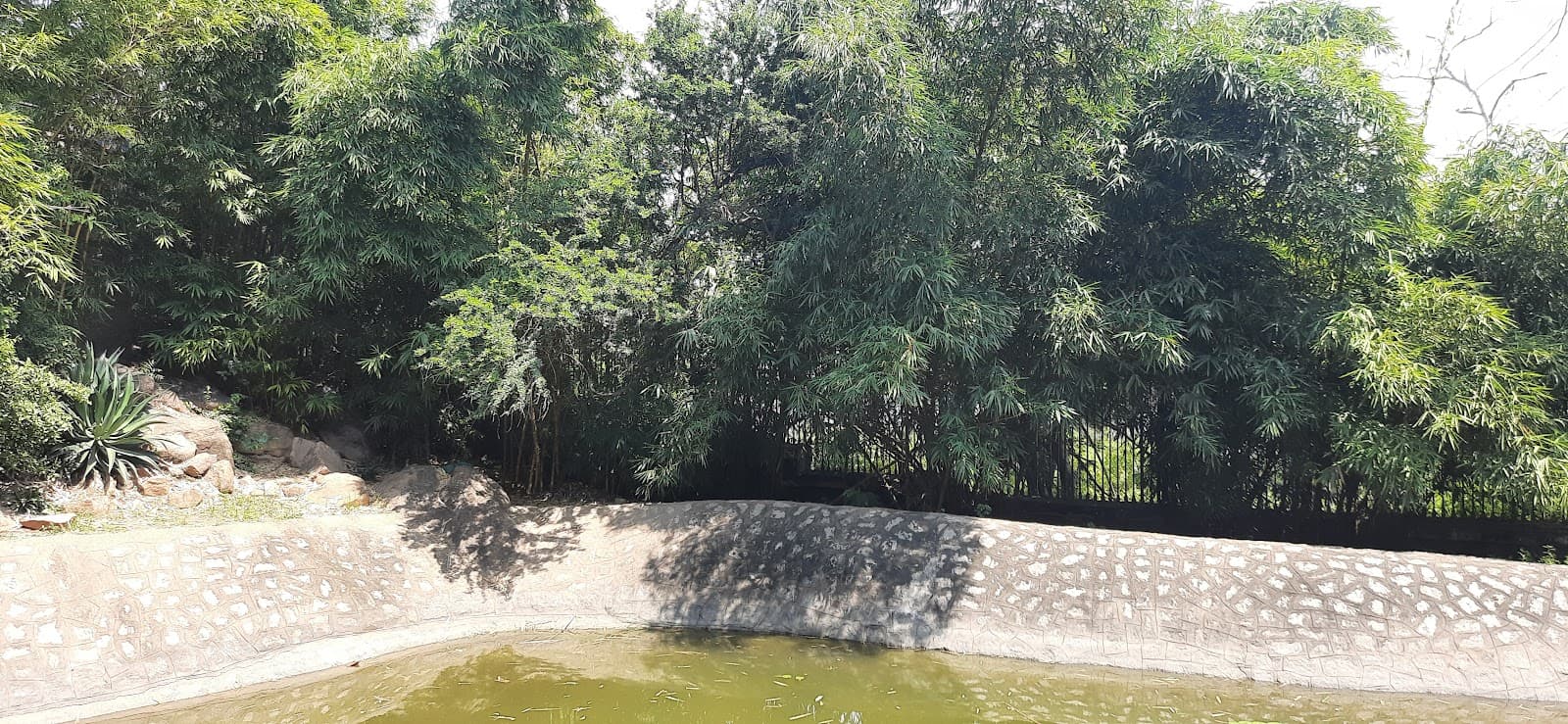 KBR National Park Hyderabad - Image 1