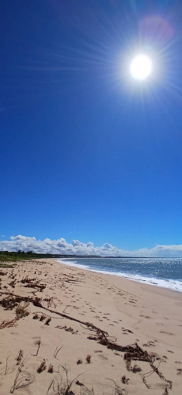 'Oh Belisco' Fried Fish
