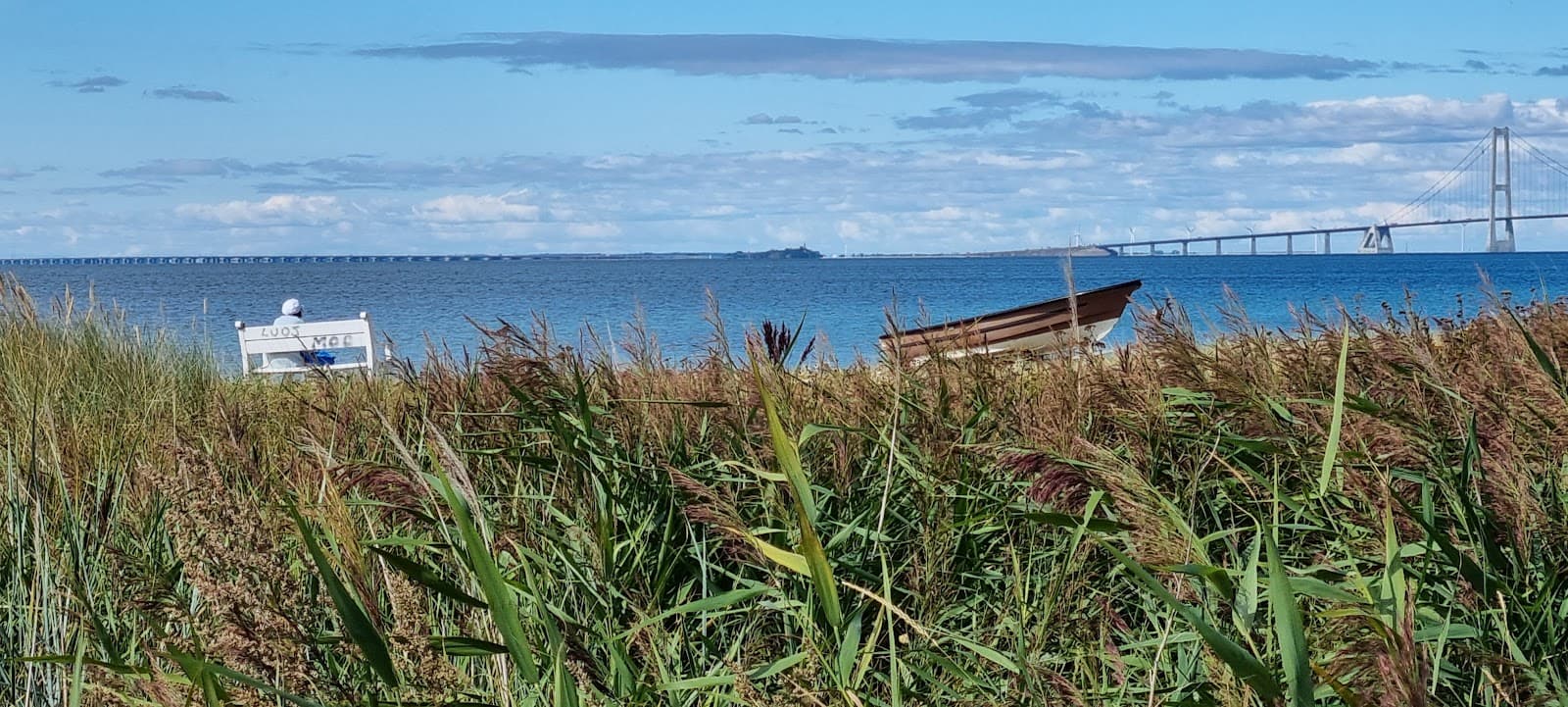 Korsør Lystskov & Beach - Image 1