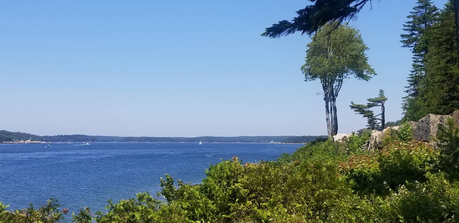 Women's Center Services