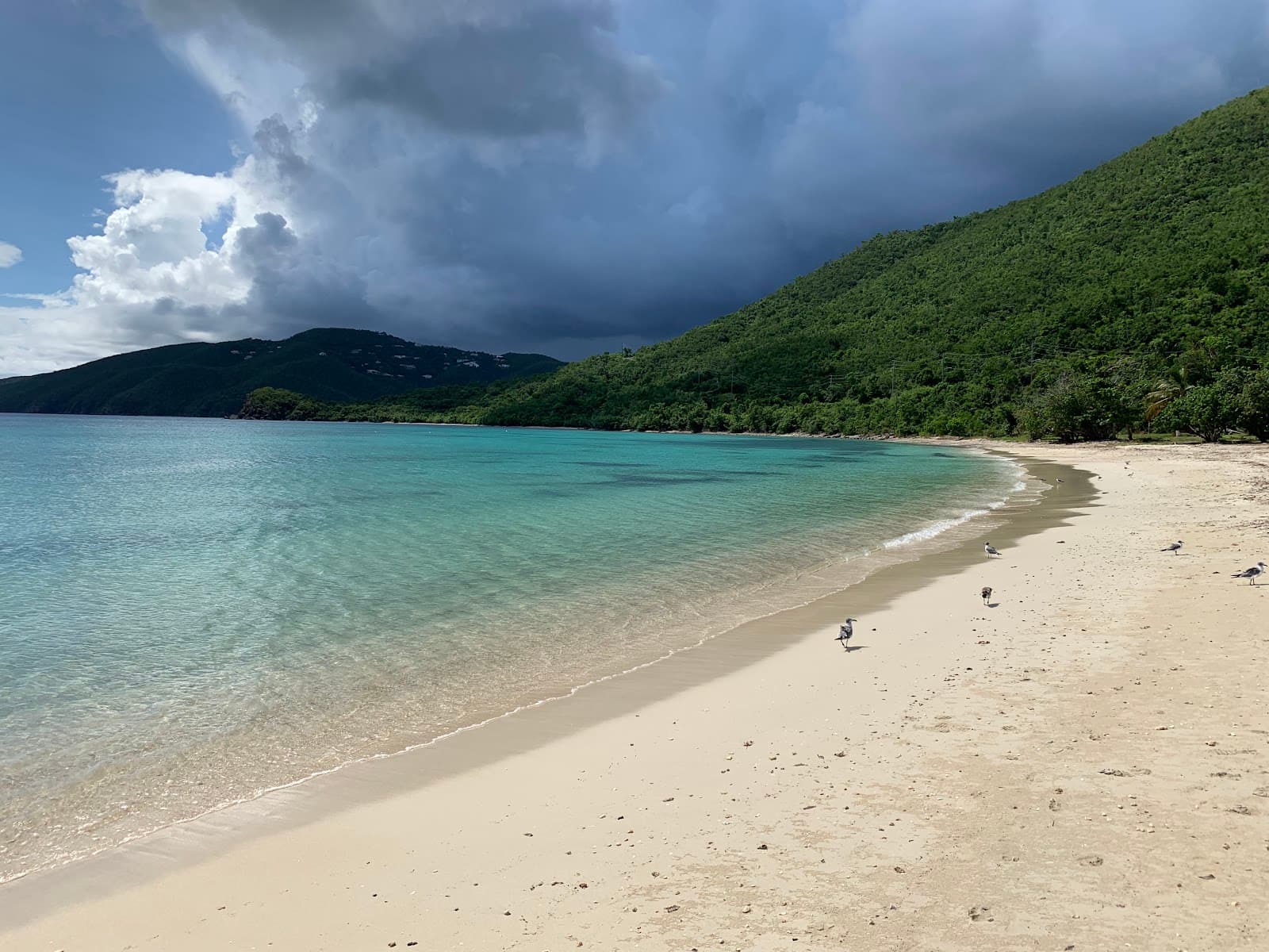 Brewers Bay Beach - Image 1