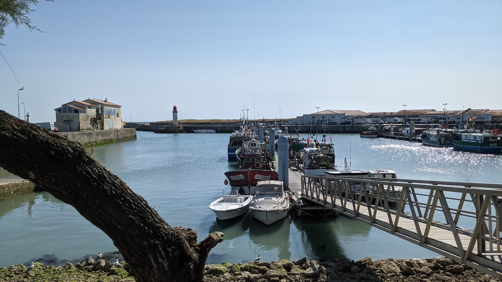 La Cotinière - Image 1