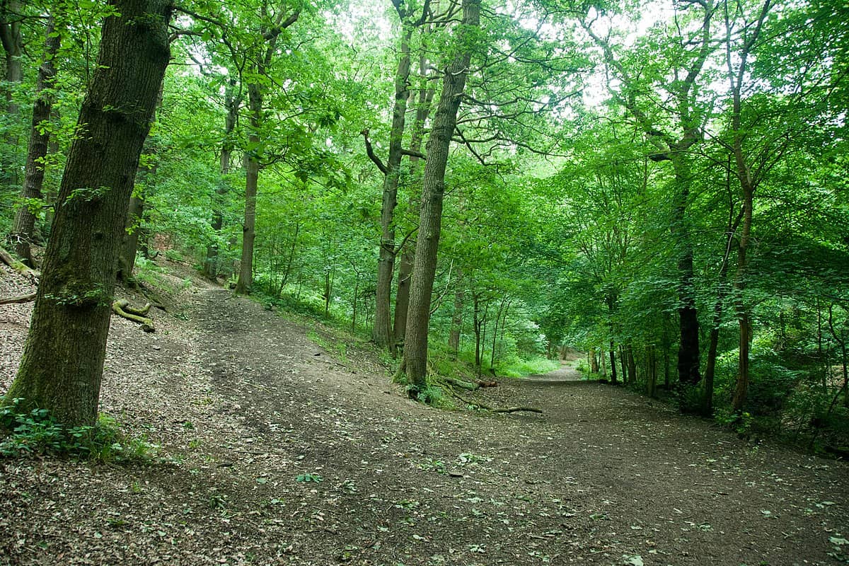 Northcliff Eco Park Woodlands