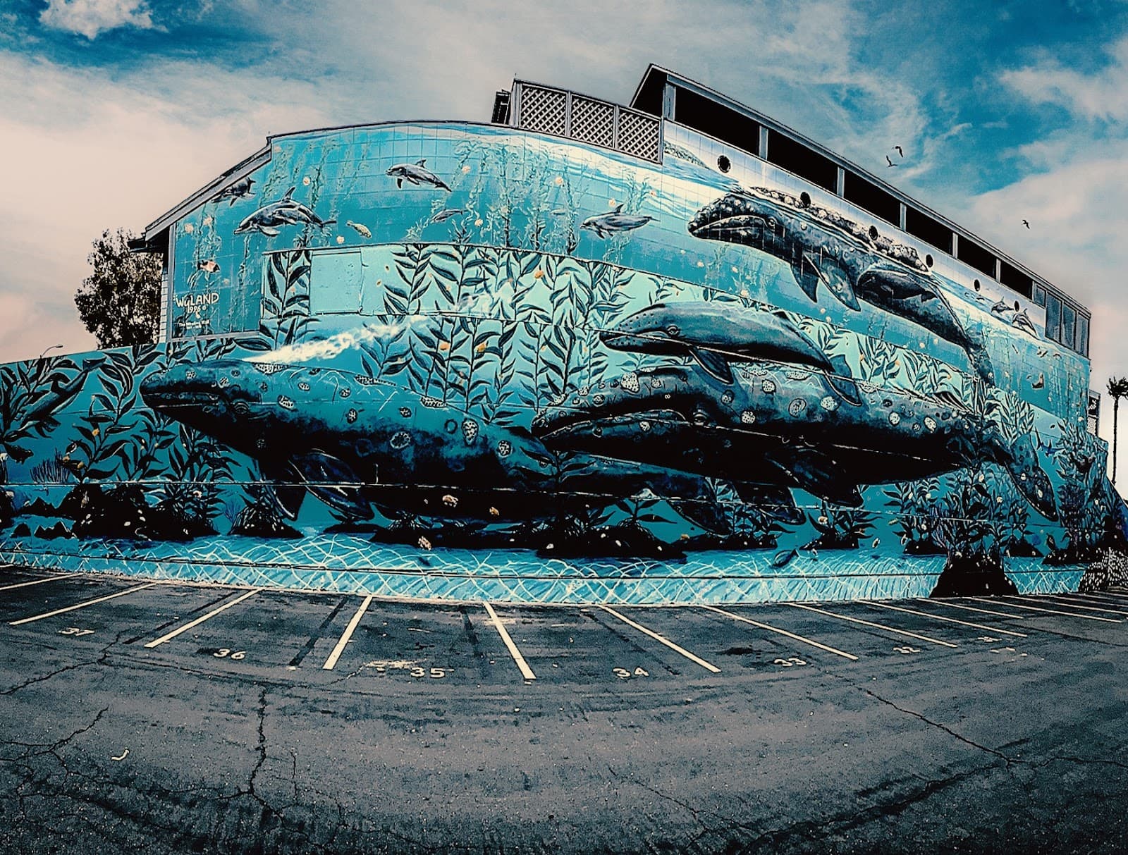 Wyland Galleries Laguna Beach - Image 1