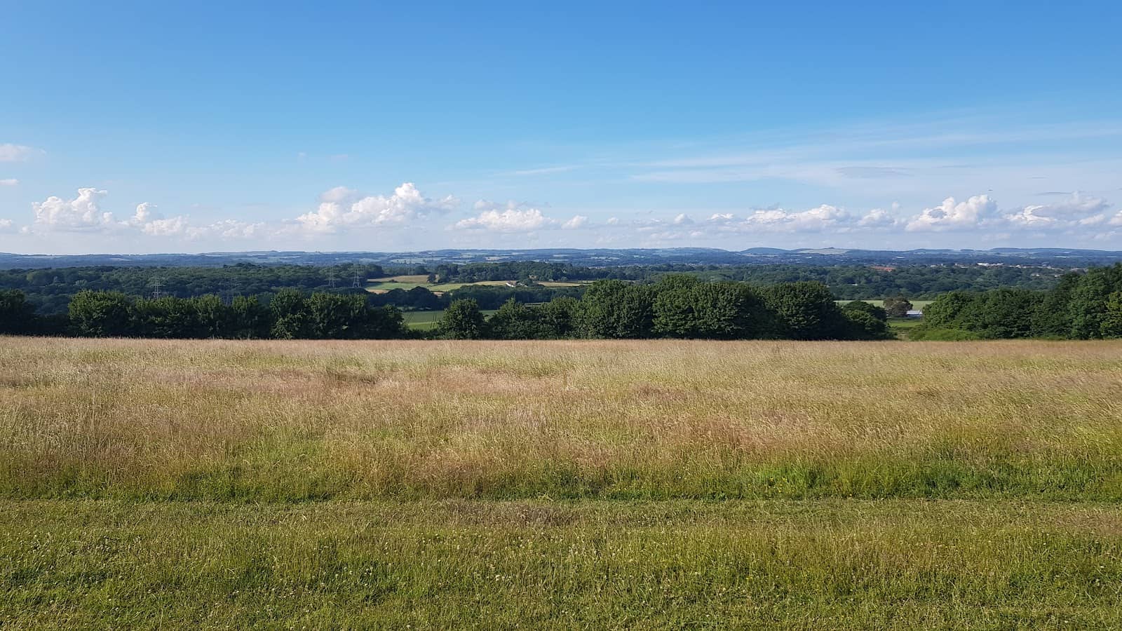 Storm Watching Spectacle