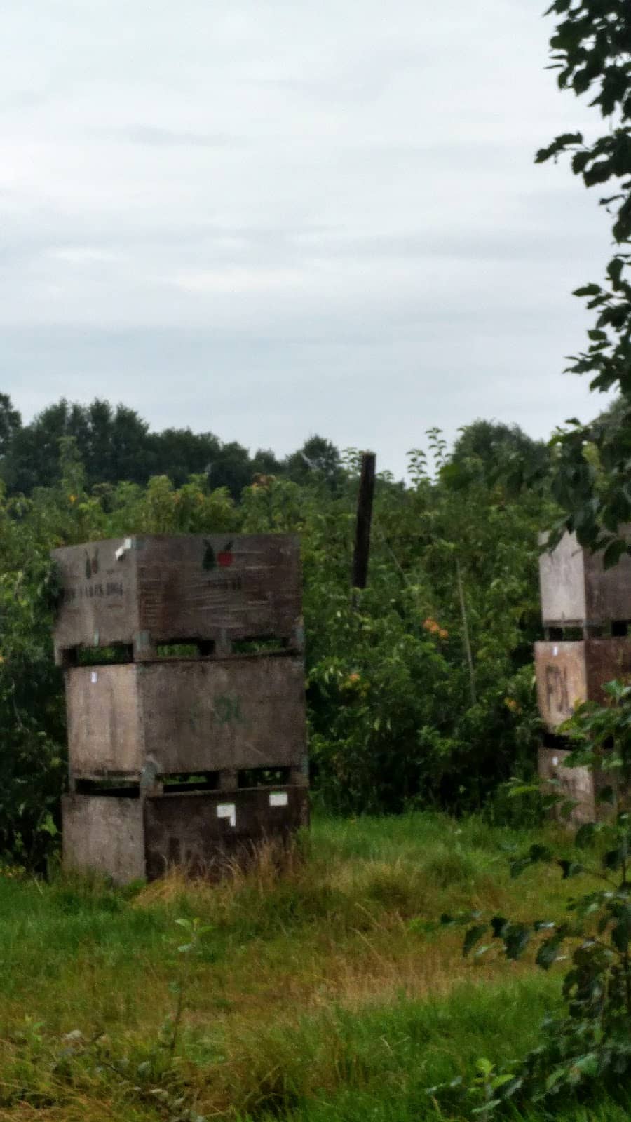 Vertical photo