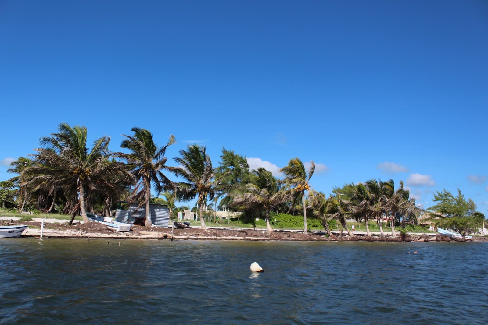 Parque Nacional Arrecifes de Xcalak - Image 1