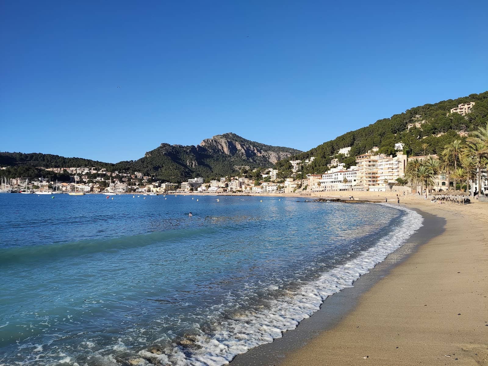 Family-Friendly Environment