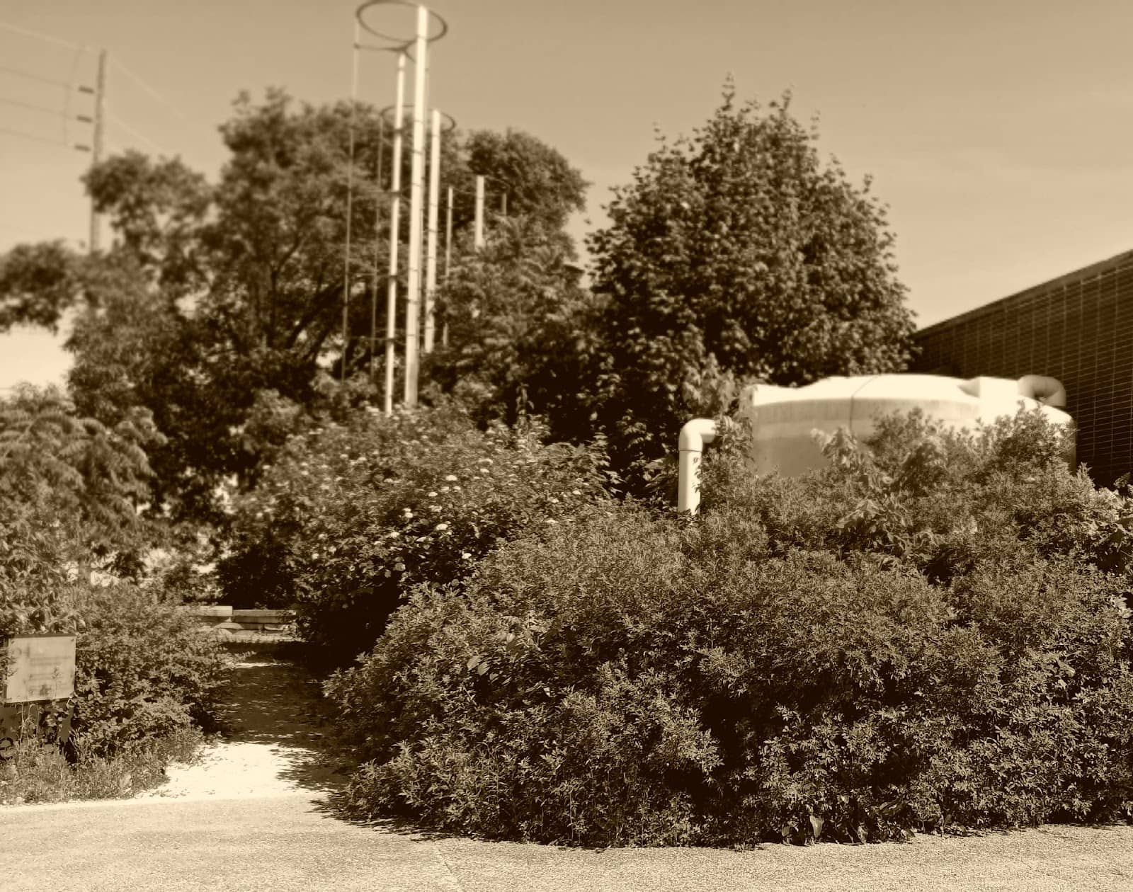 Vertical photo