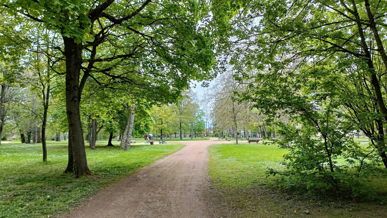 Shaded Benches