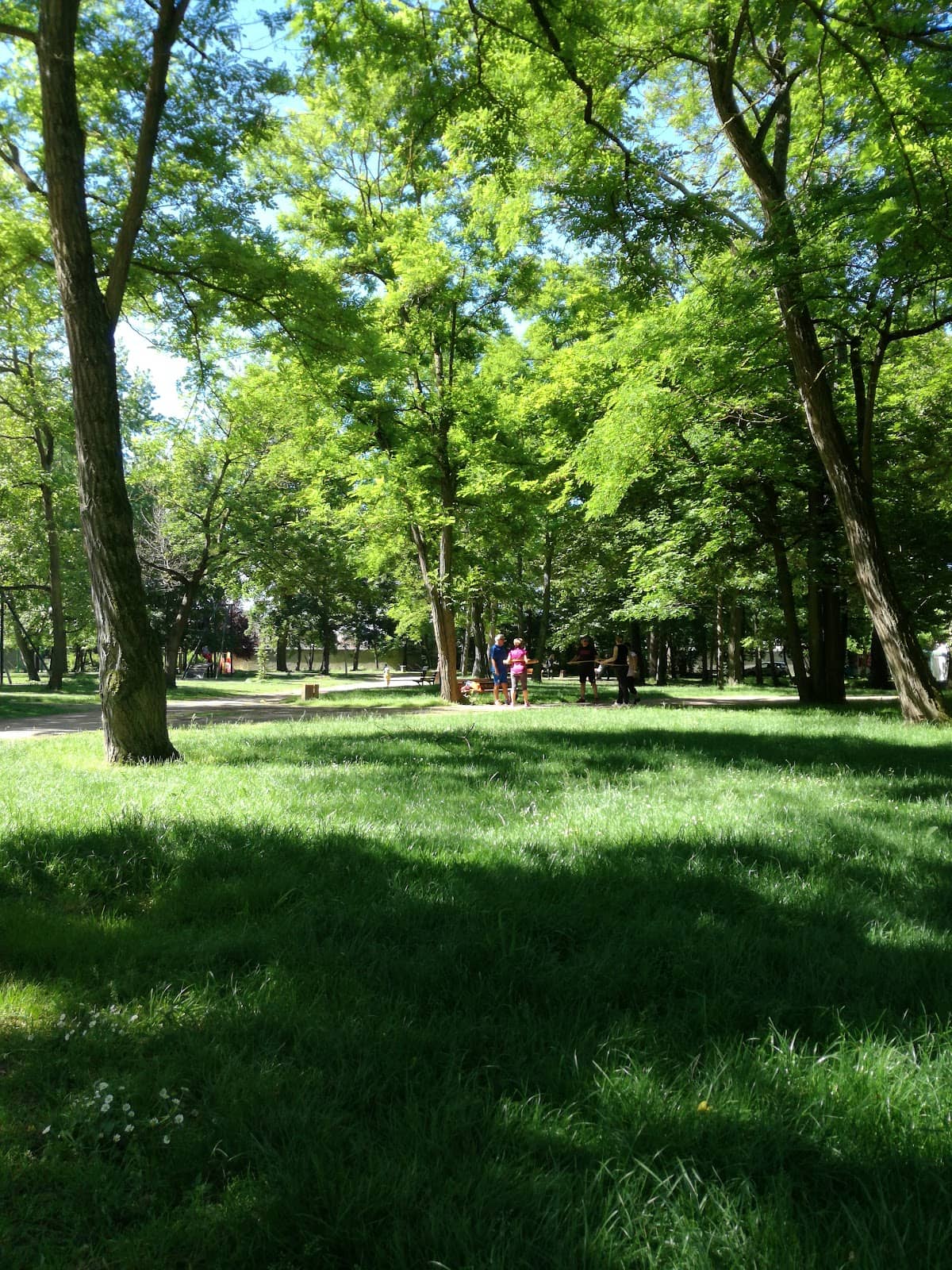 Fitness Trail