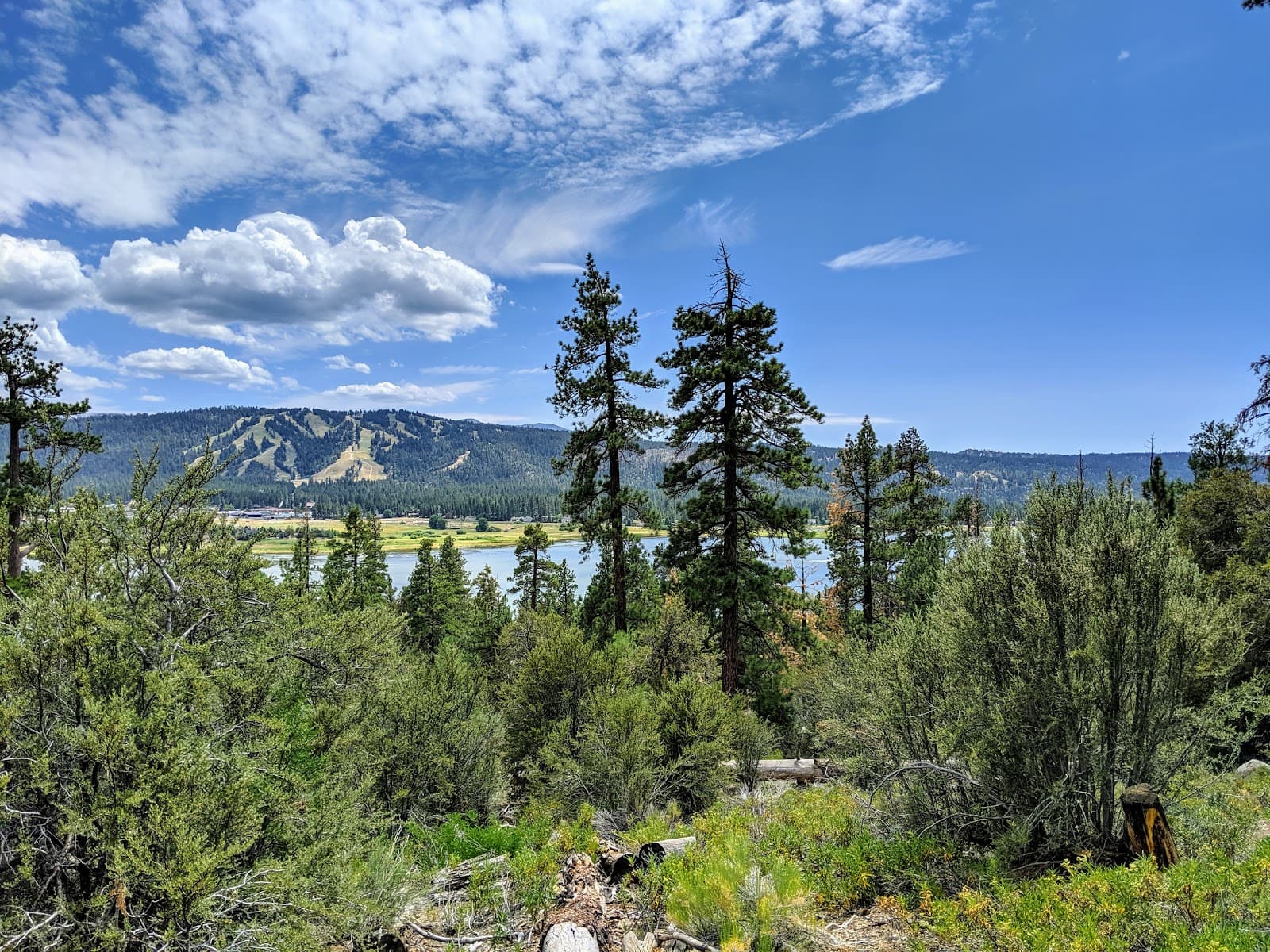 Woodland Trail 1E23 - Image 1