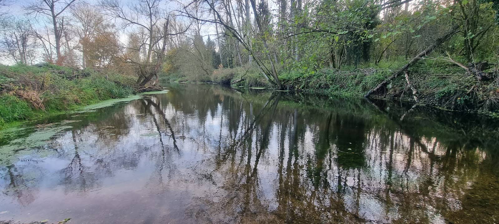 Peaceful Picnic Spots