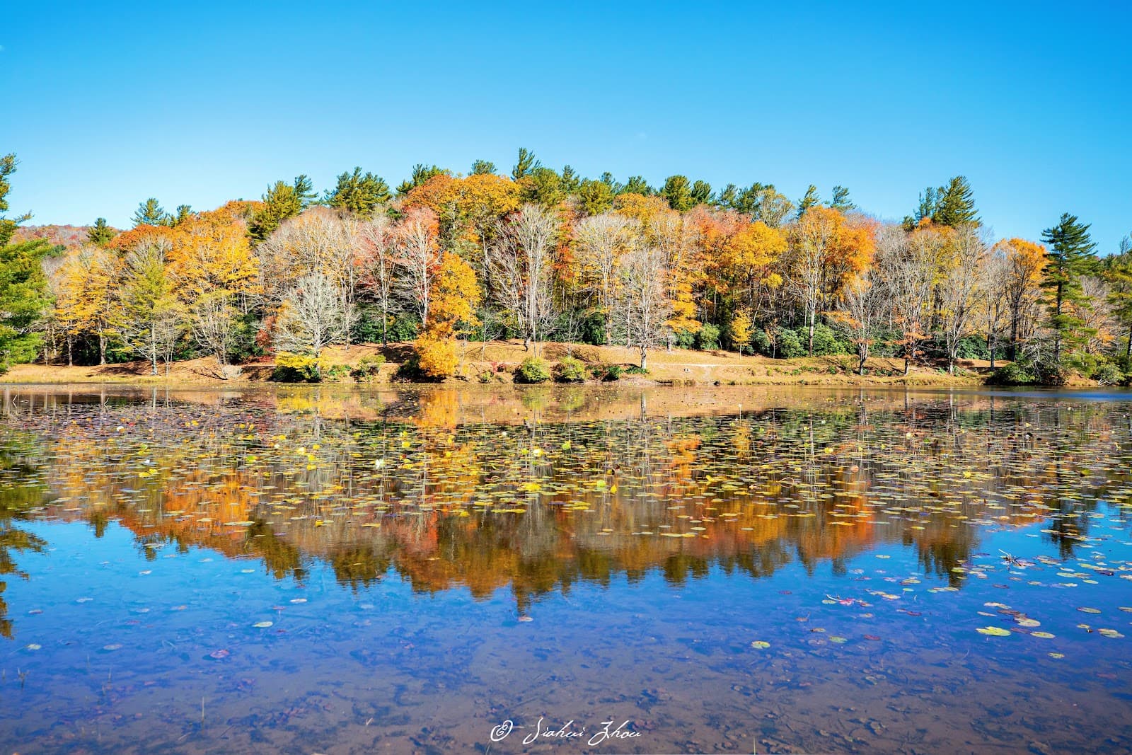 Bass Lake - Image 1