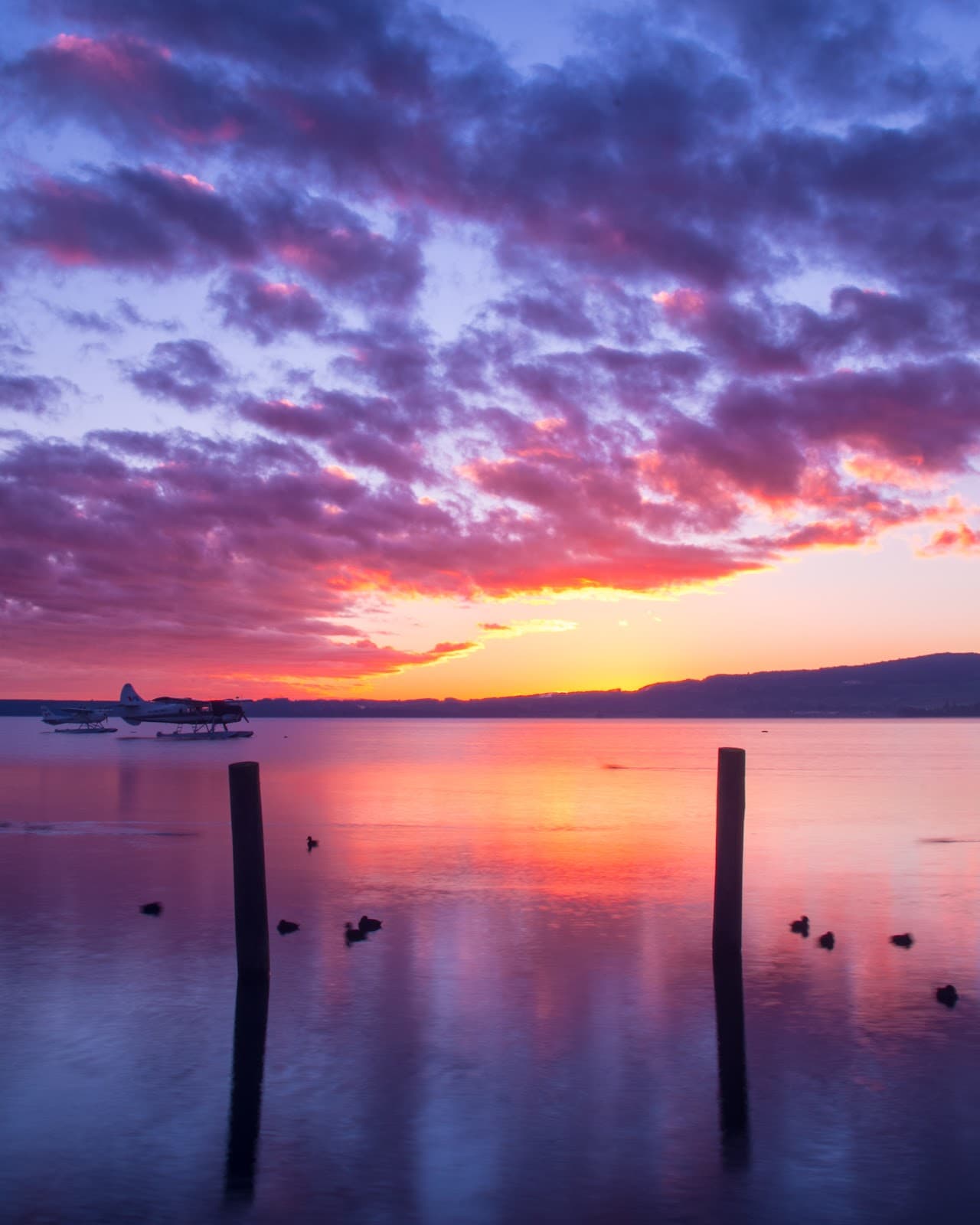 Lake Rotorua - Image 1