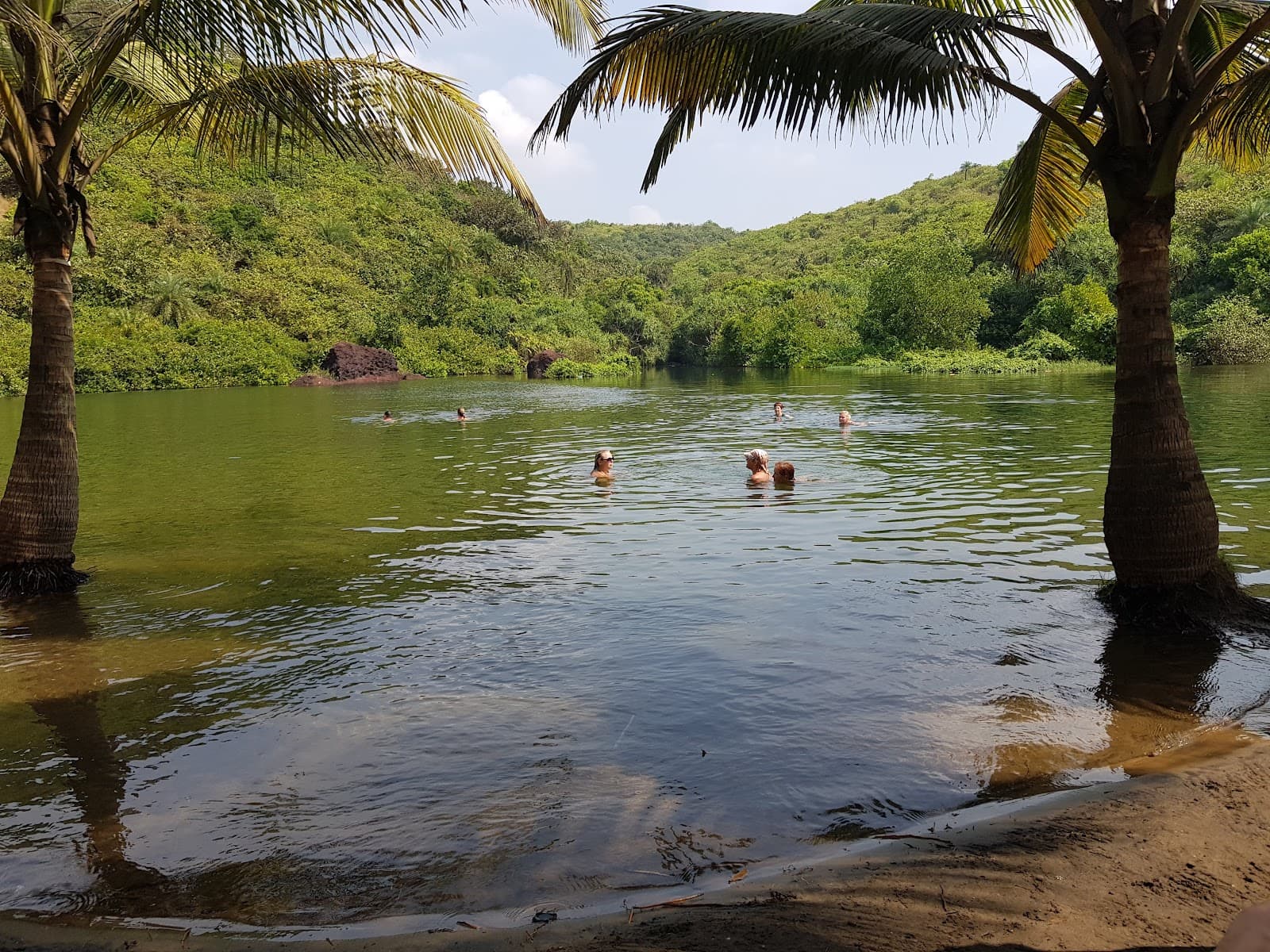 Sweet Water Lake and Banyan Tree Arambol Goa - Image 1