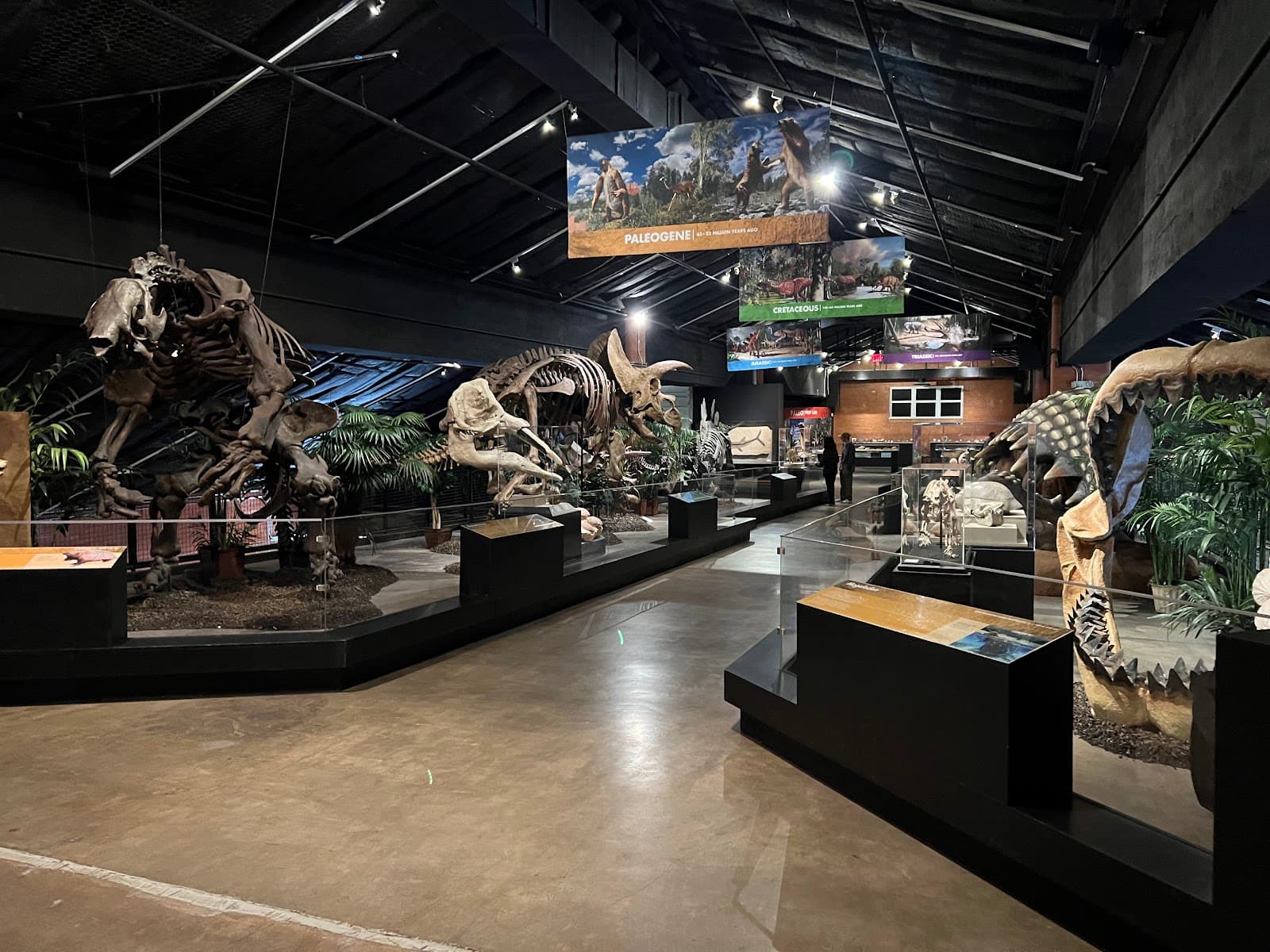 Houston Museum of Natural Science at Sugar Land - Image 1