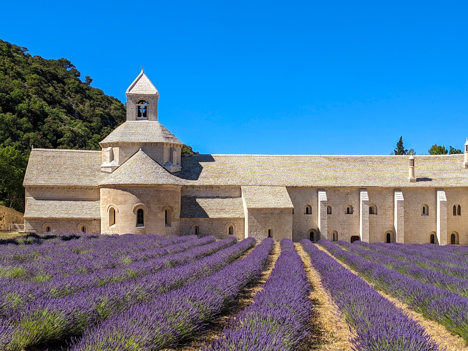 Abbaye Notre-Dame de Sénanque - Image 1