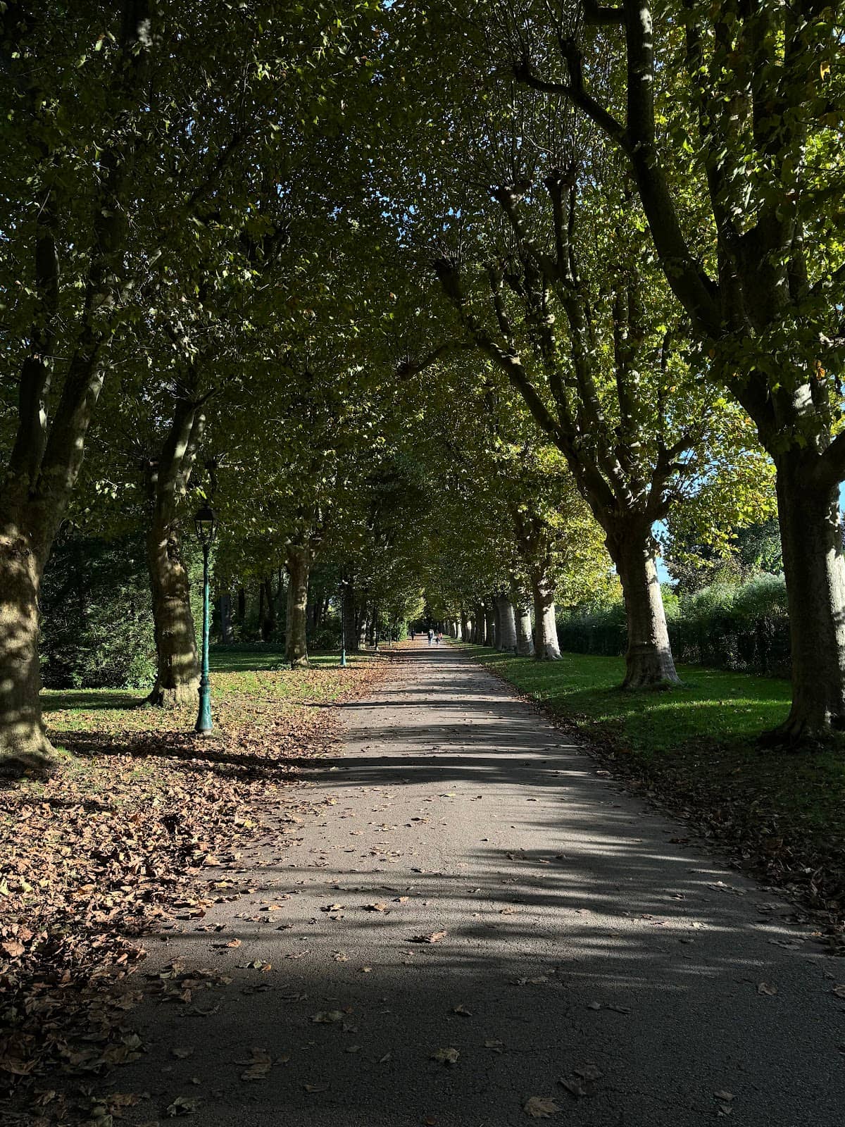 Catalpa Festival Grounds
