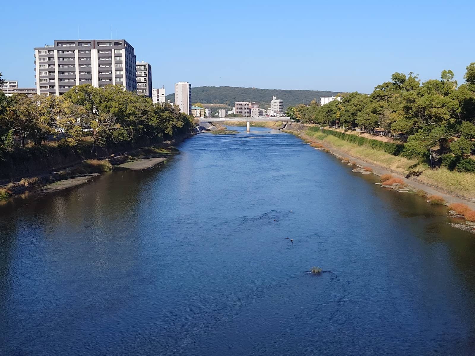 Kokaibashi Bridge Area