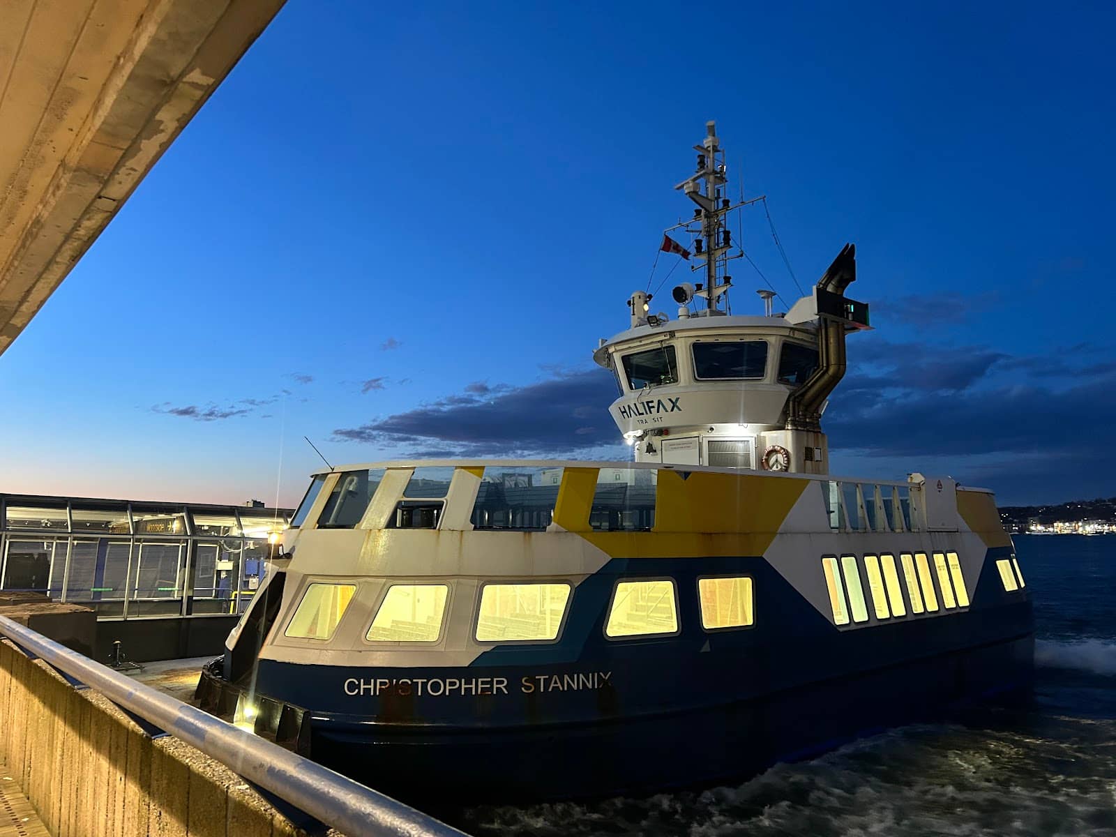 Marine Life Spotting