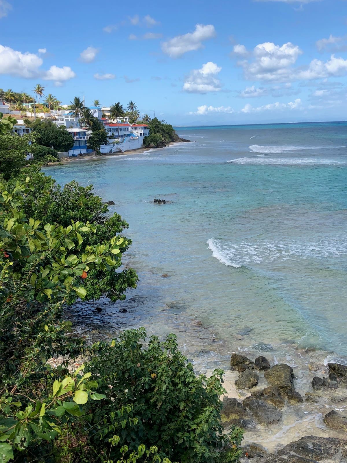 Vieques Countryside Puerto Rico - Image 1